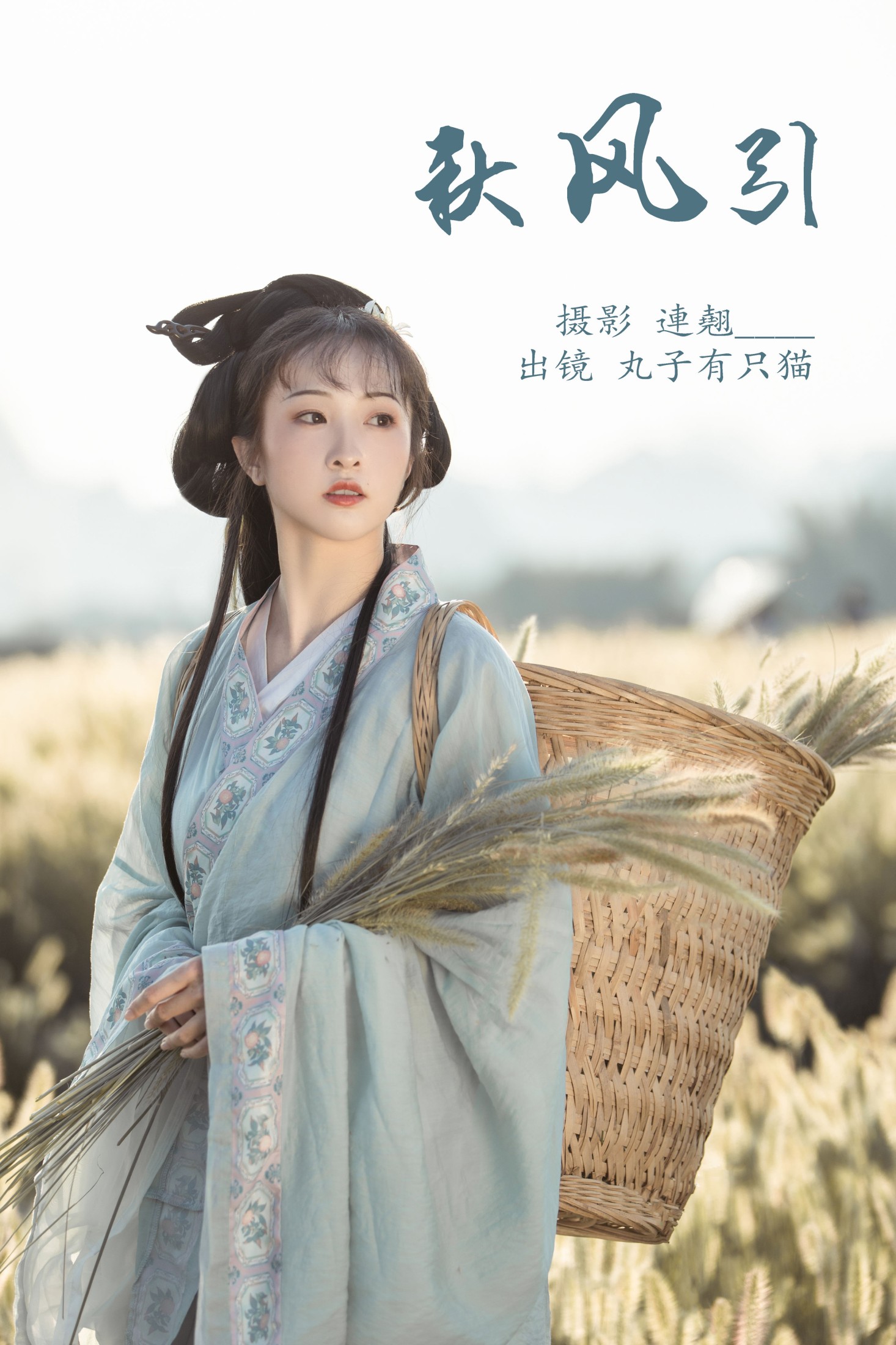 秋风引