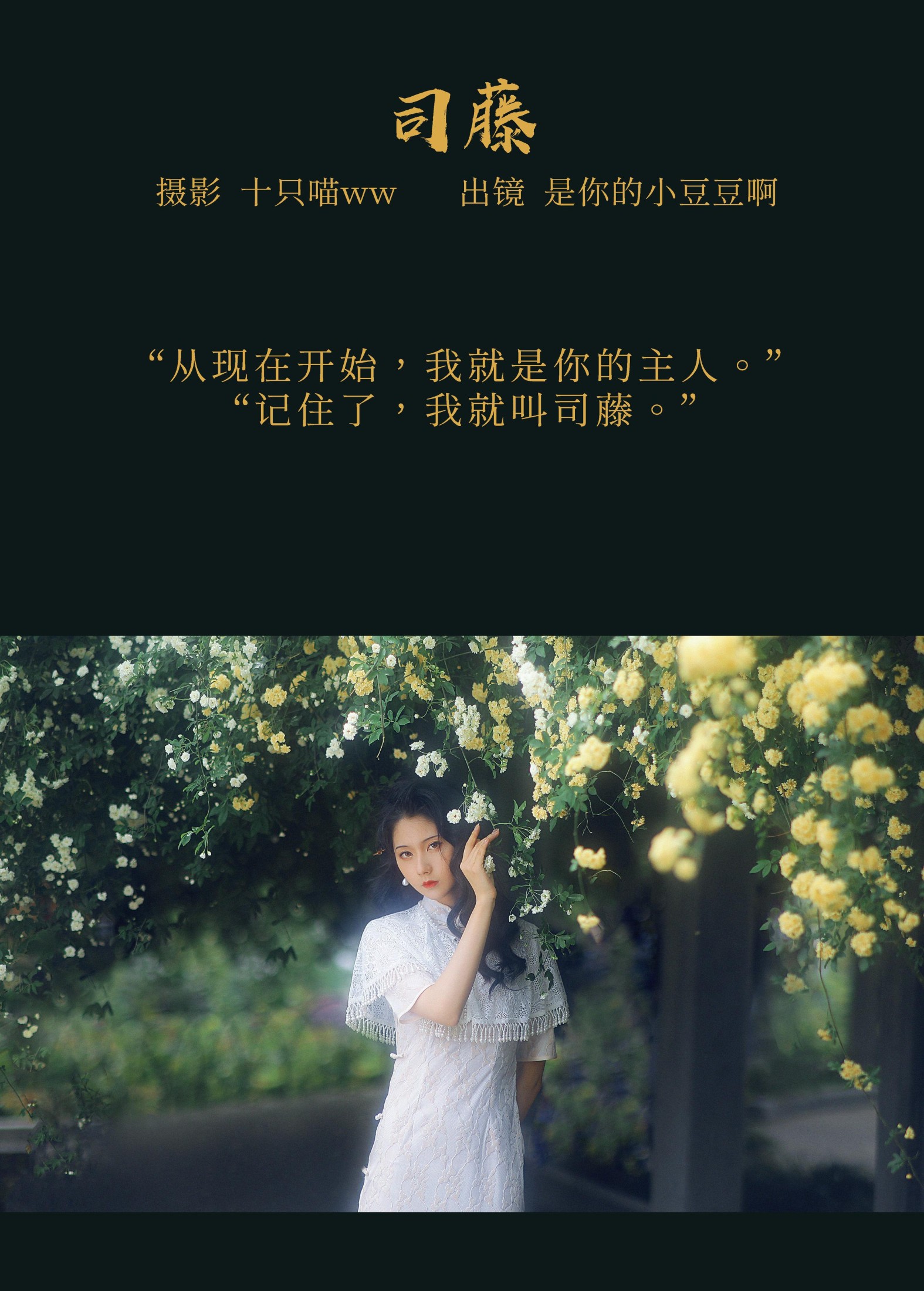 是你的小豆豆啊 – 《司藤》[21P]