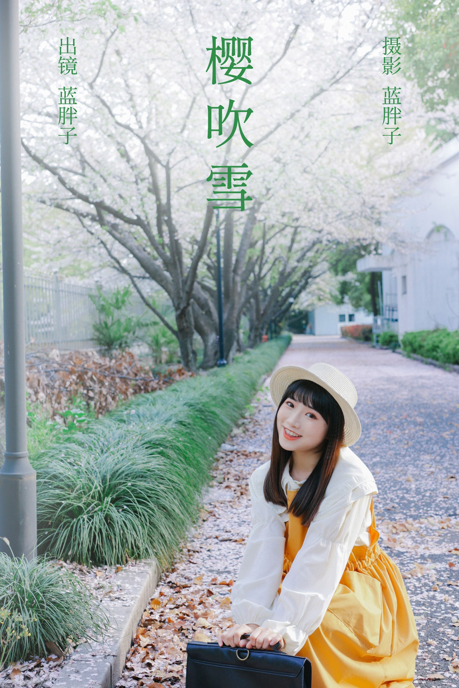 樱吹雪