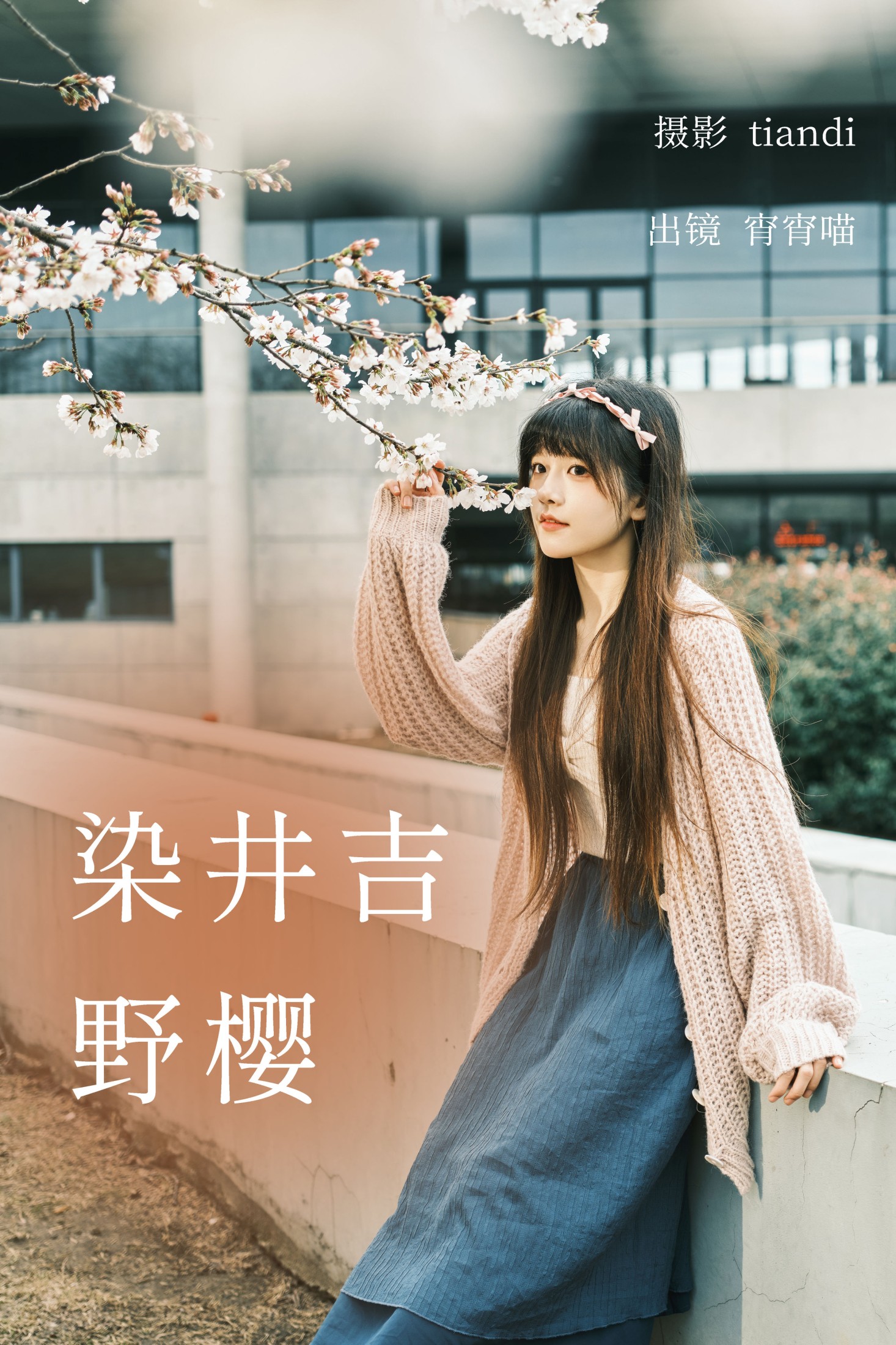 染井吉野樱