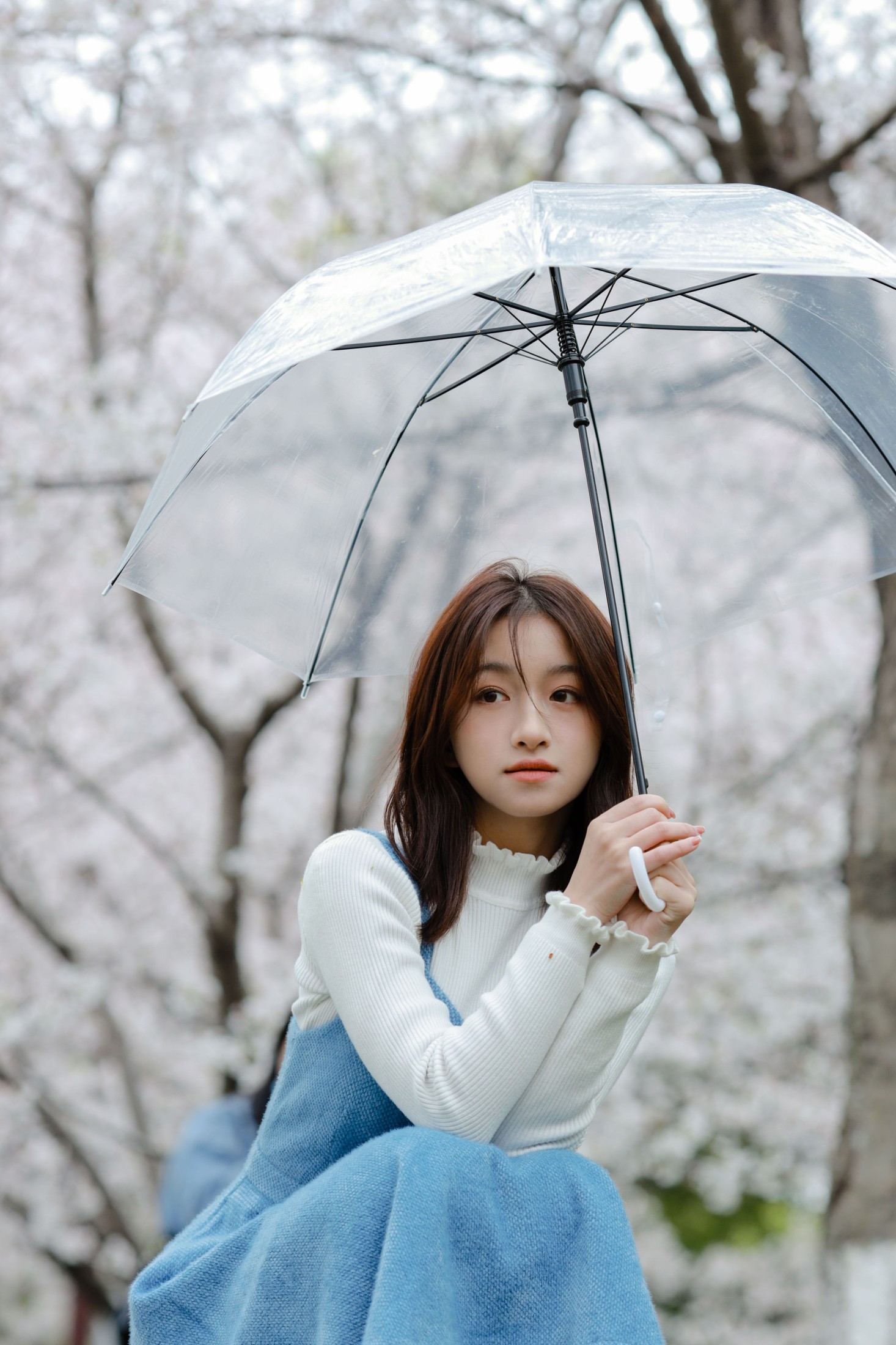 钰儿 – 《樱花物语》[32P]