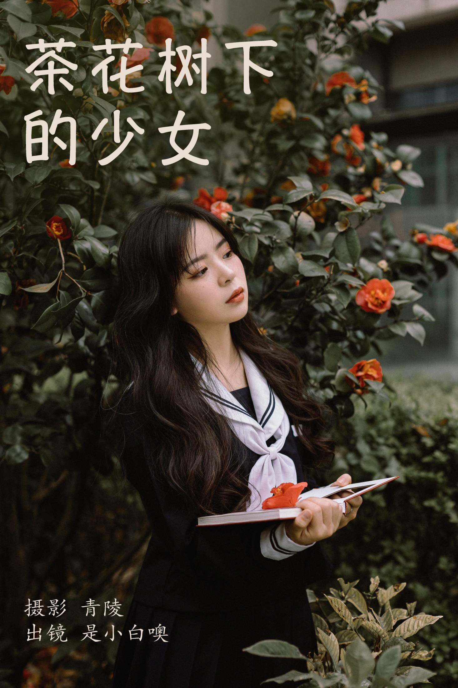 是小白噢 – 《茶花树下的少女》[26P]