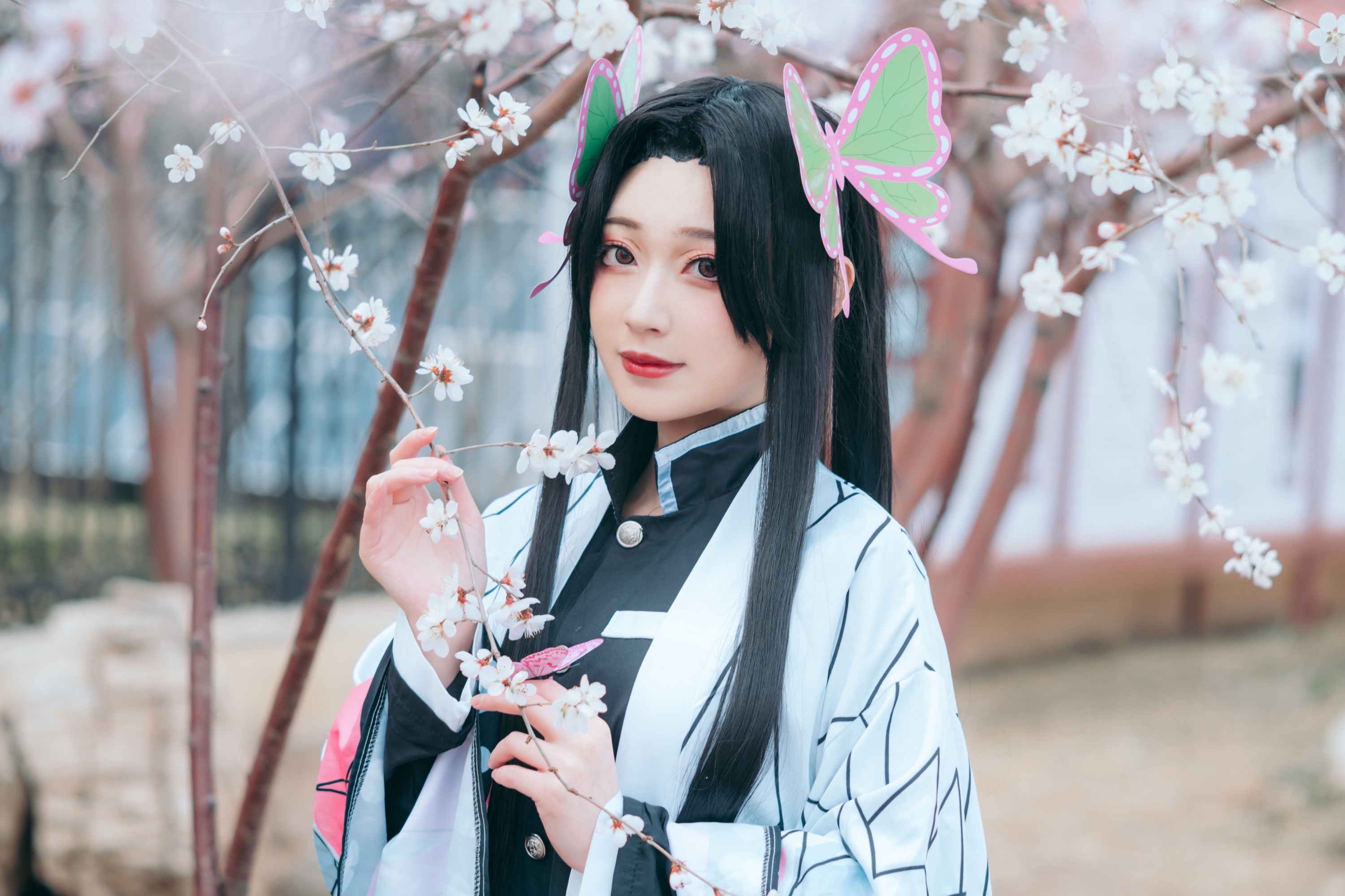 桃墨公子x – 《蝴蝶香奈惠》[22P]
