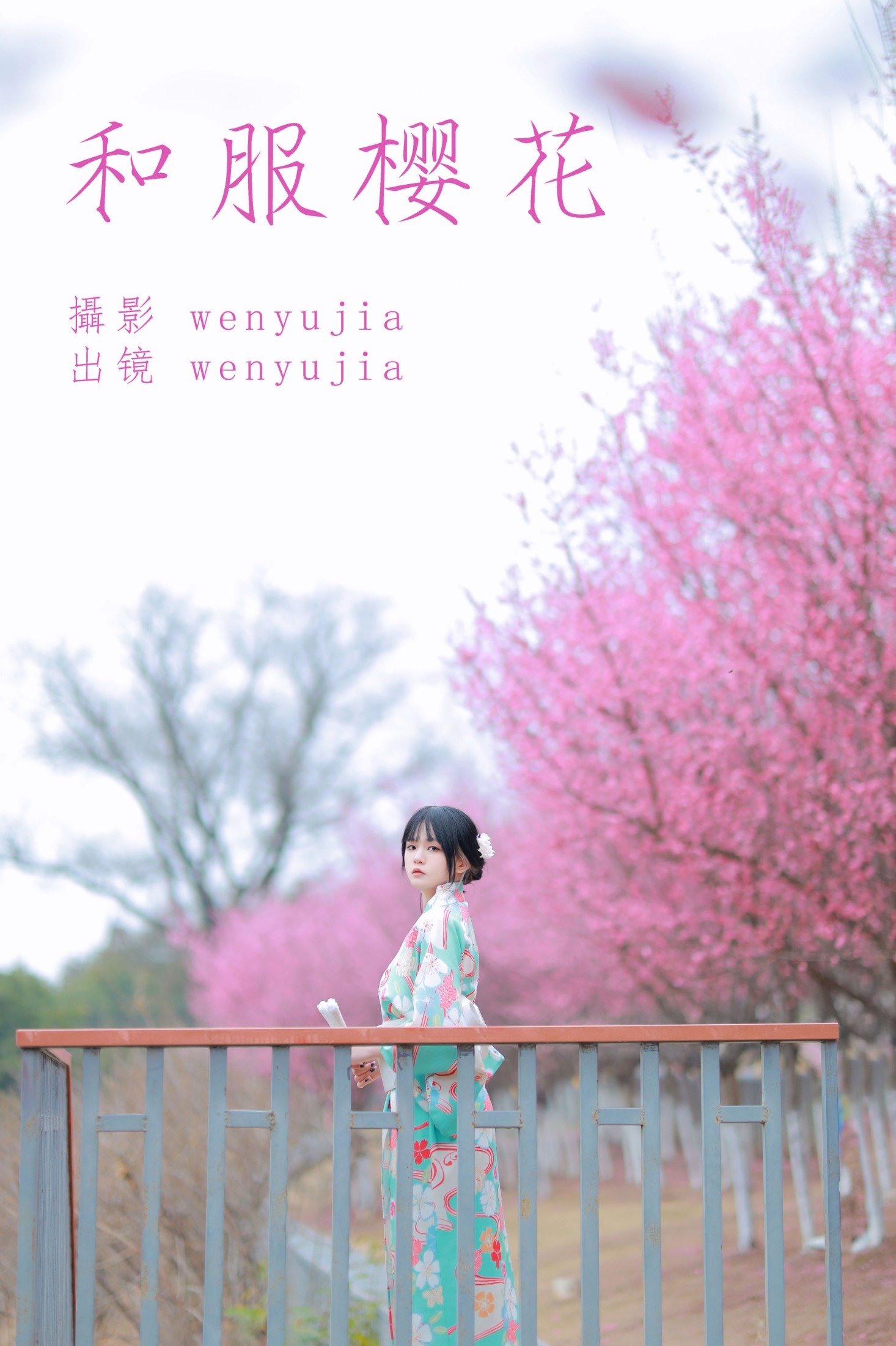 和服樱花