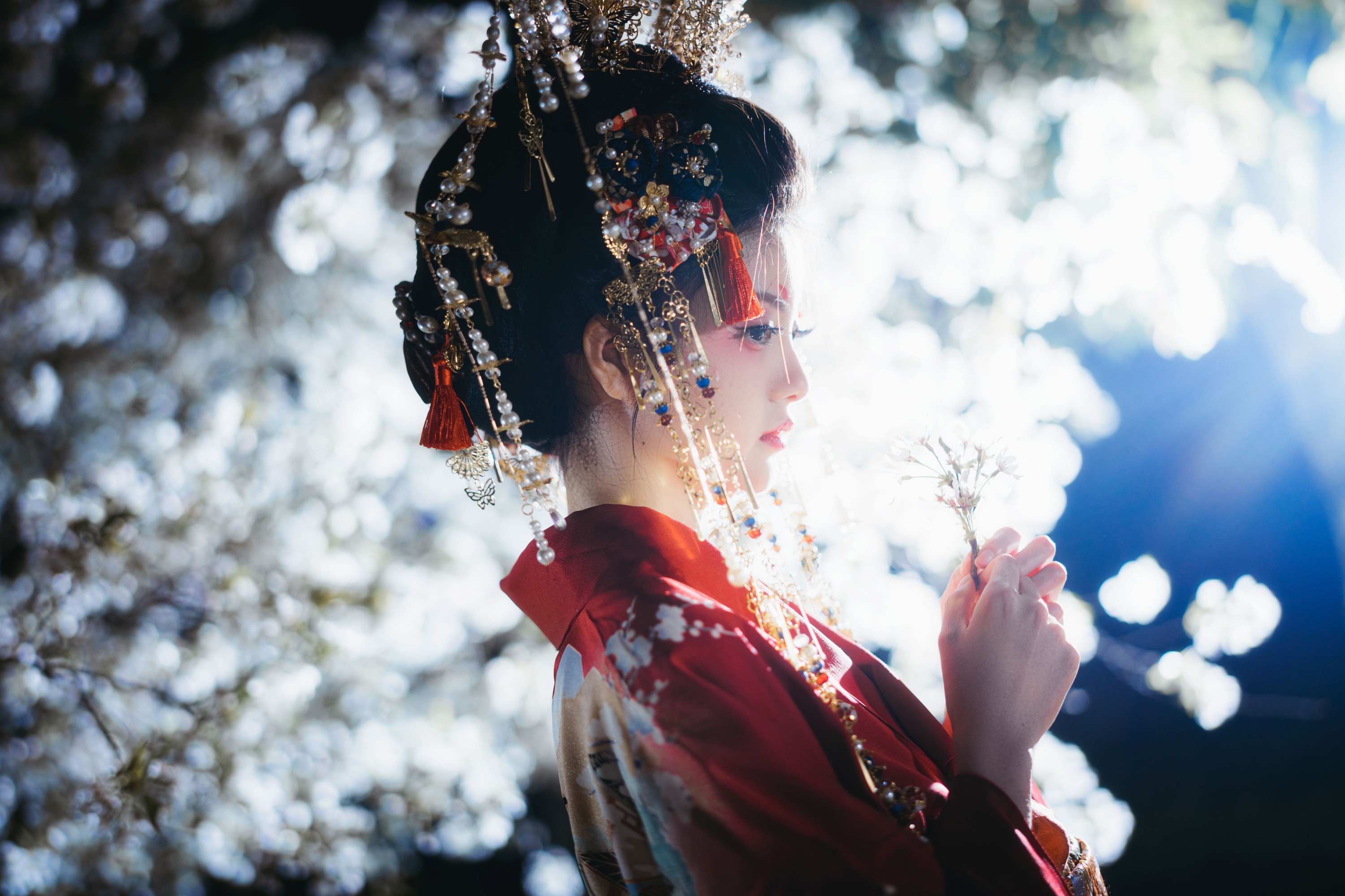 KIRAKIRA零 – 《夜樱花魁》[24P]