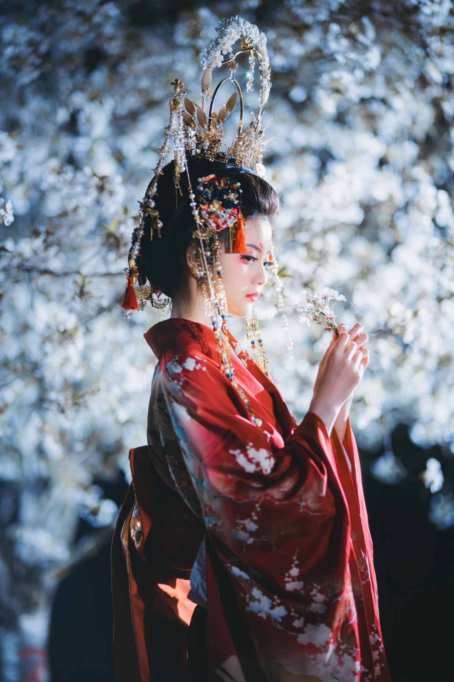 KIRAKIRA零 – 《夜樱花魁》[24P]