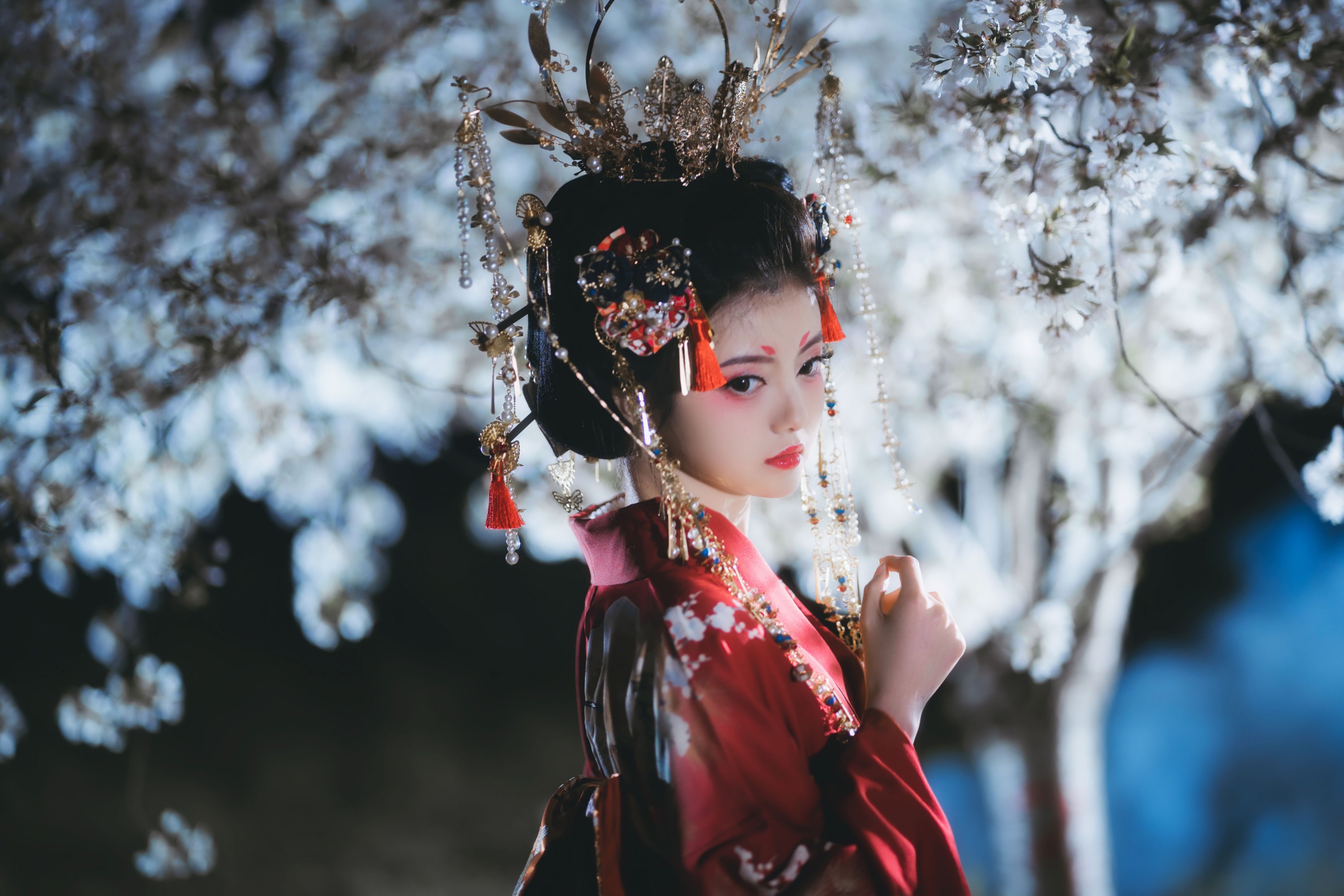 KIRAKIRA零 – 《夜樱花魁》[24P]