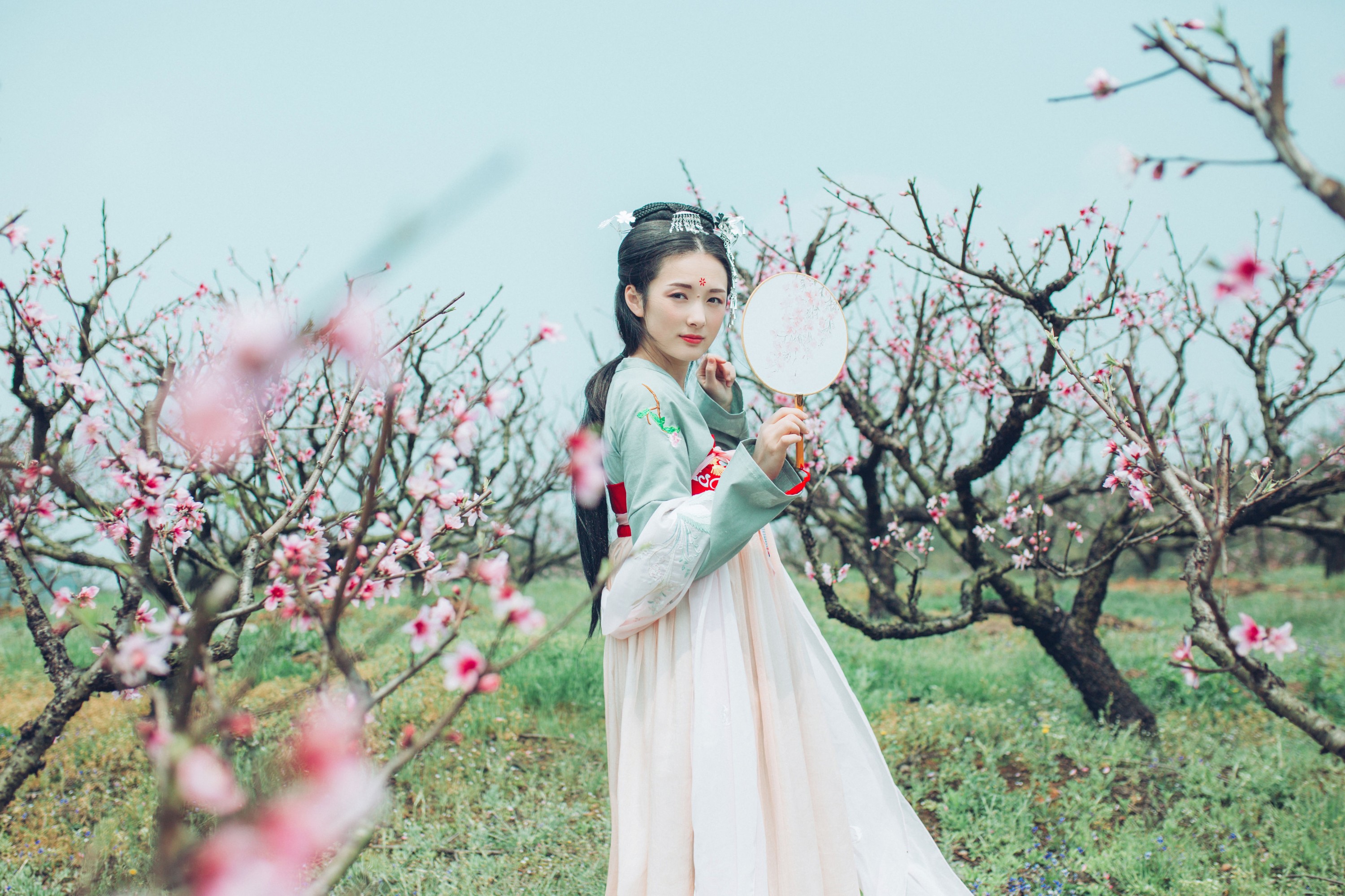 范范 – 《桃花》[31P]
