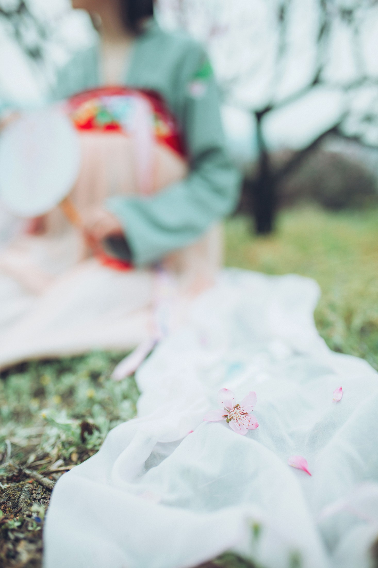 范范 – 《桃花》[31P]