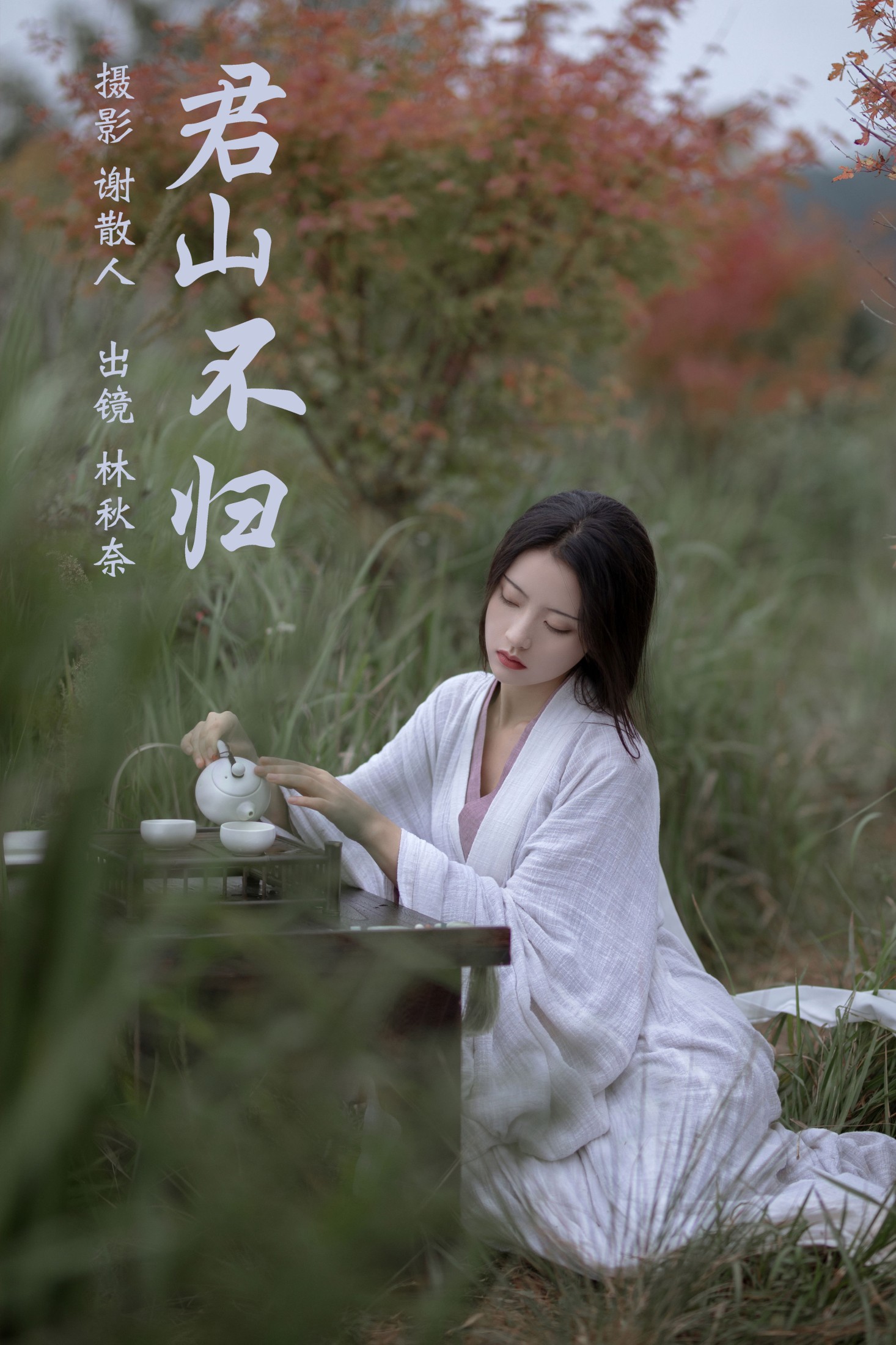 君山不归