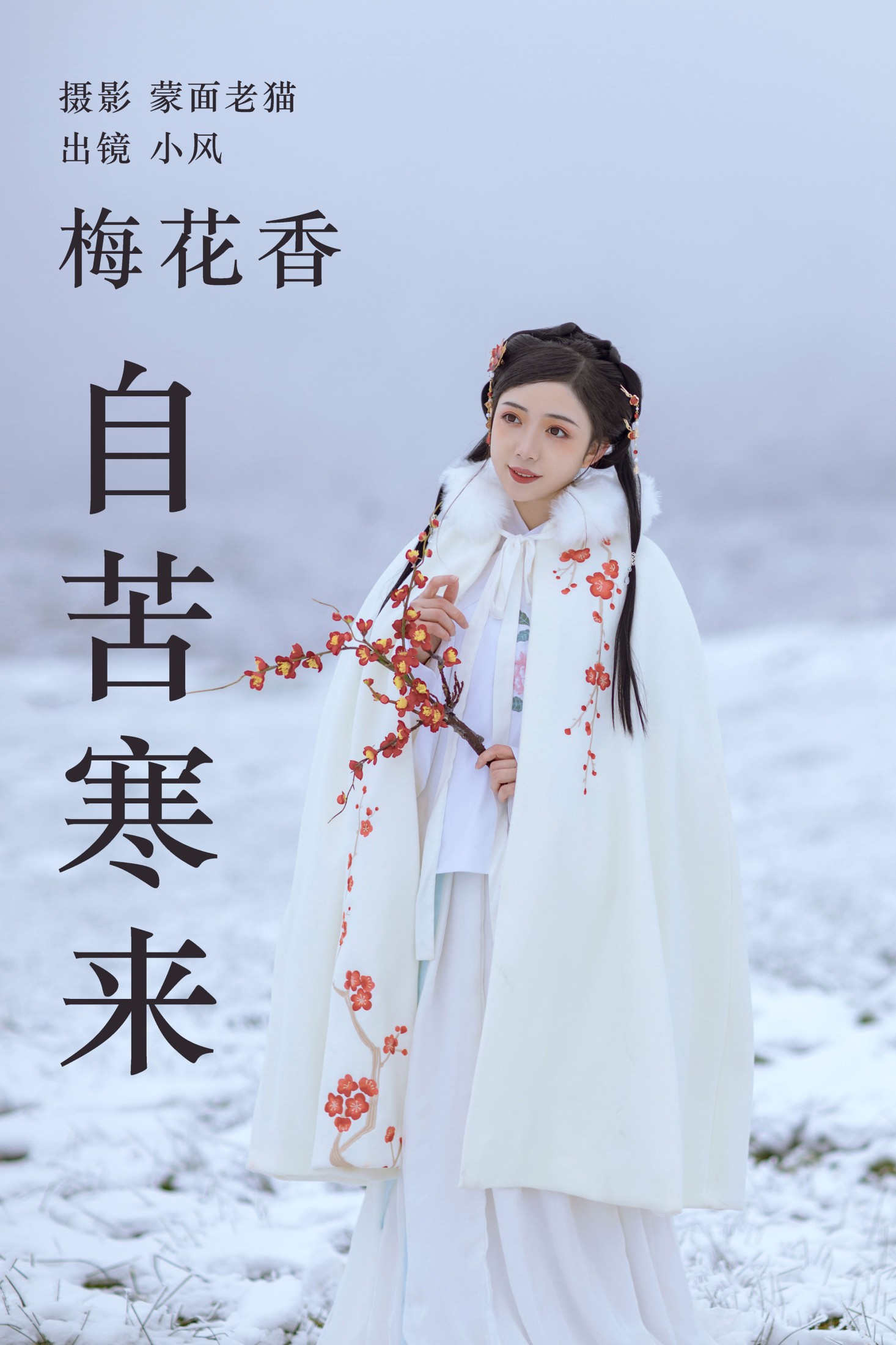 梅花香自苦寒来