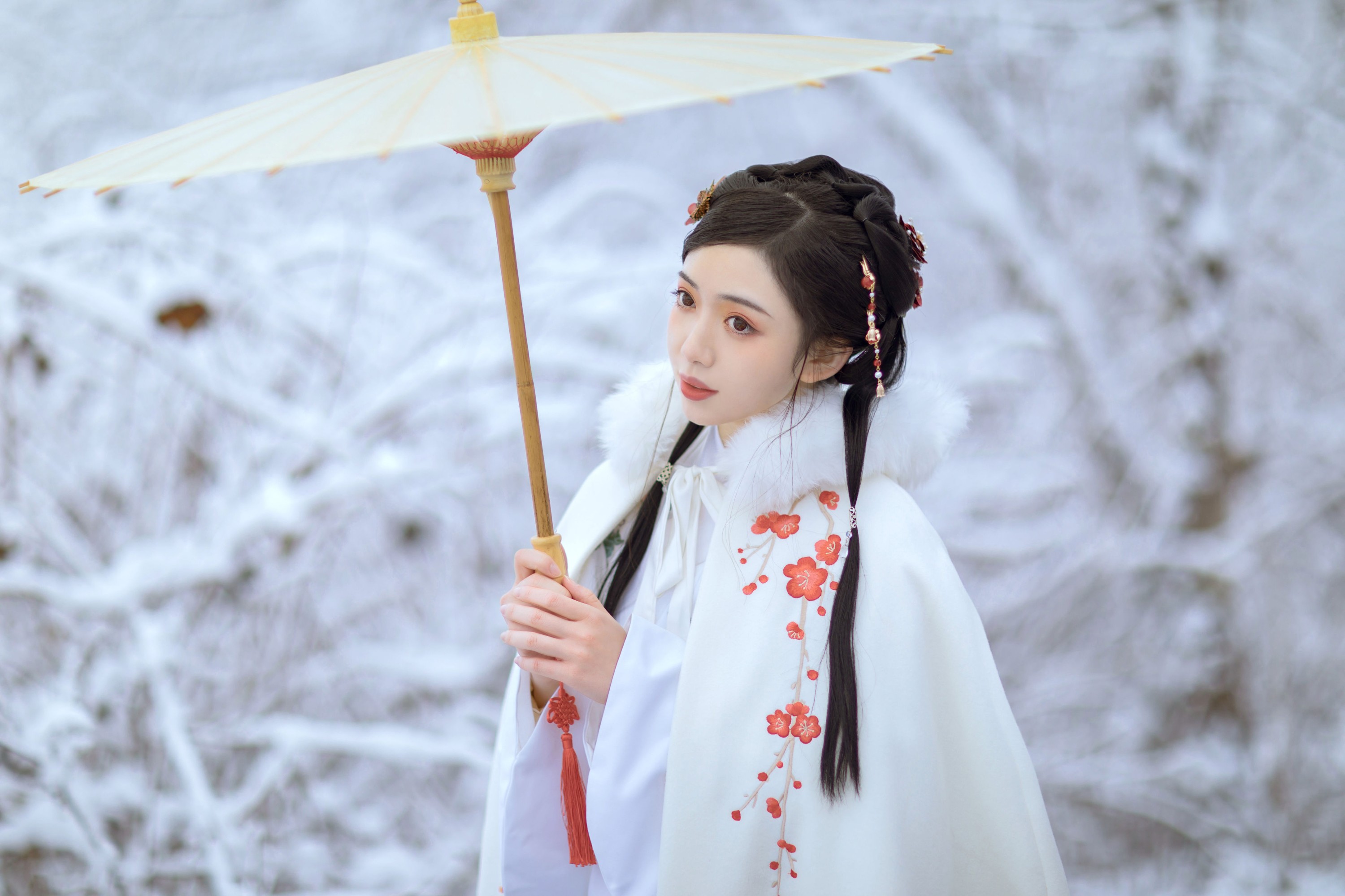 小风加载中 – 《梅花香自苦寒来》[25P]