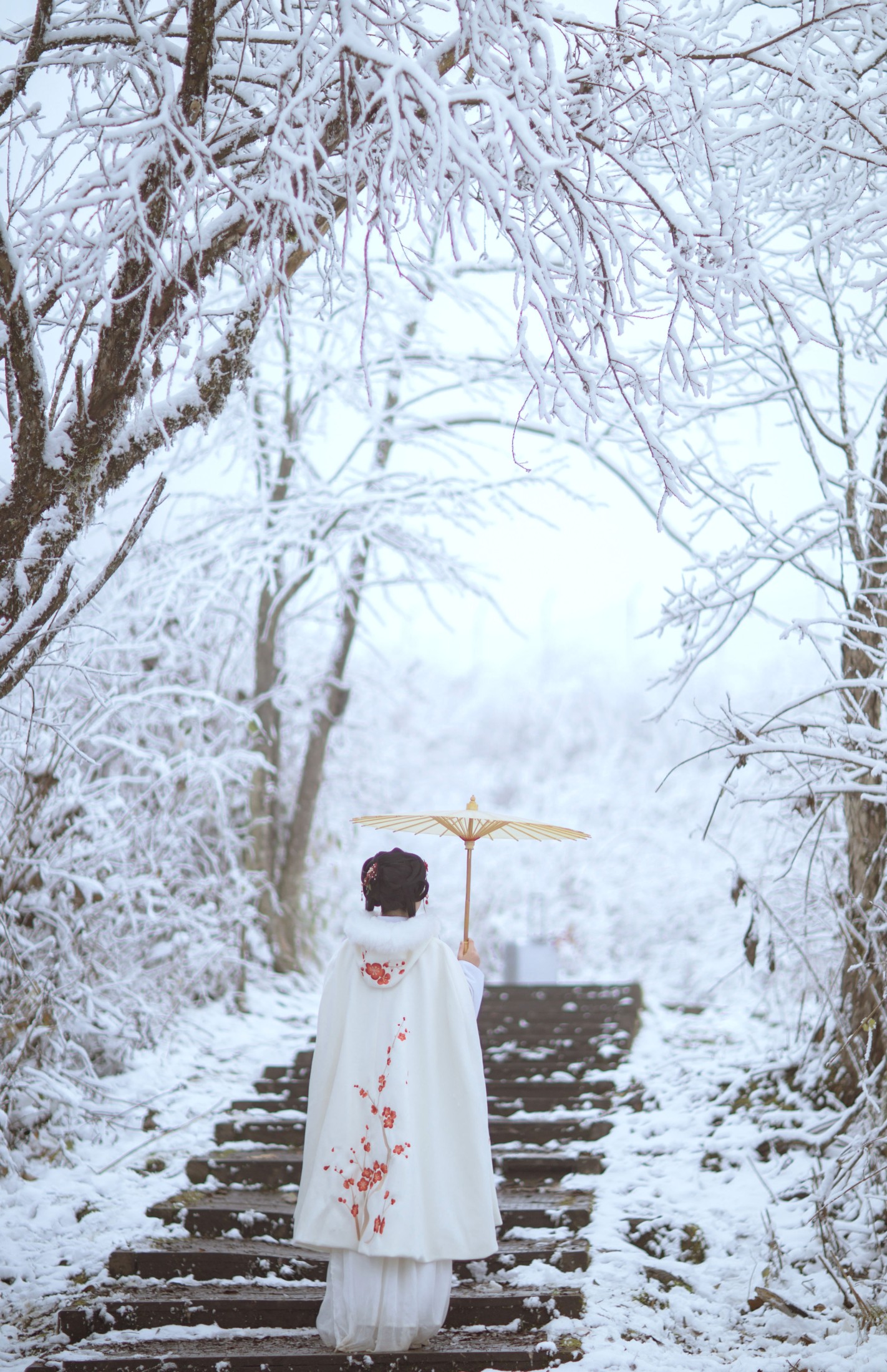 小风加载中 – 《梅花香自苦寒来》[25P]