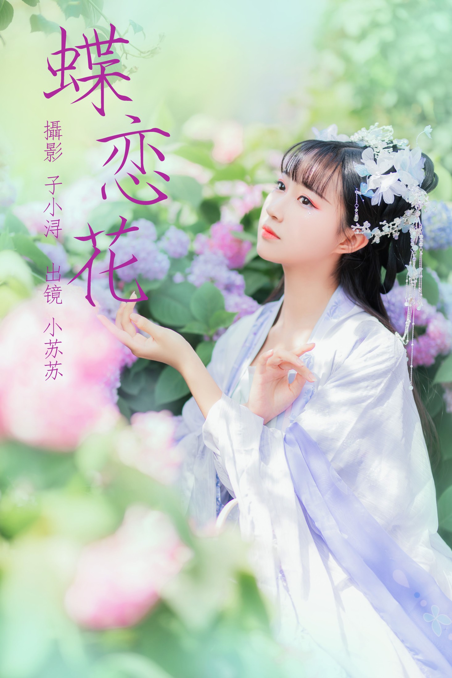 蝶恋花