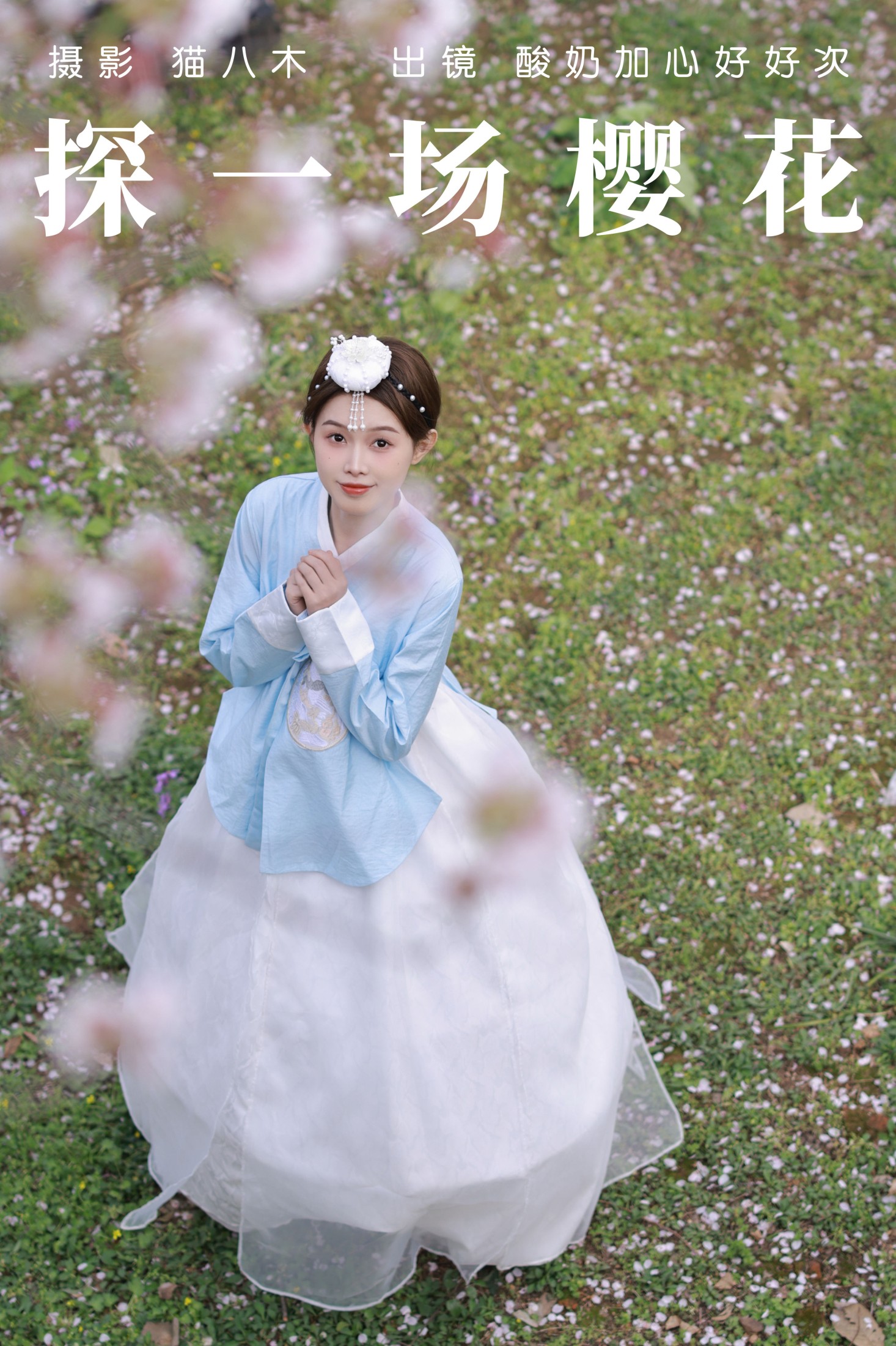 探一场樱花