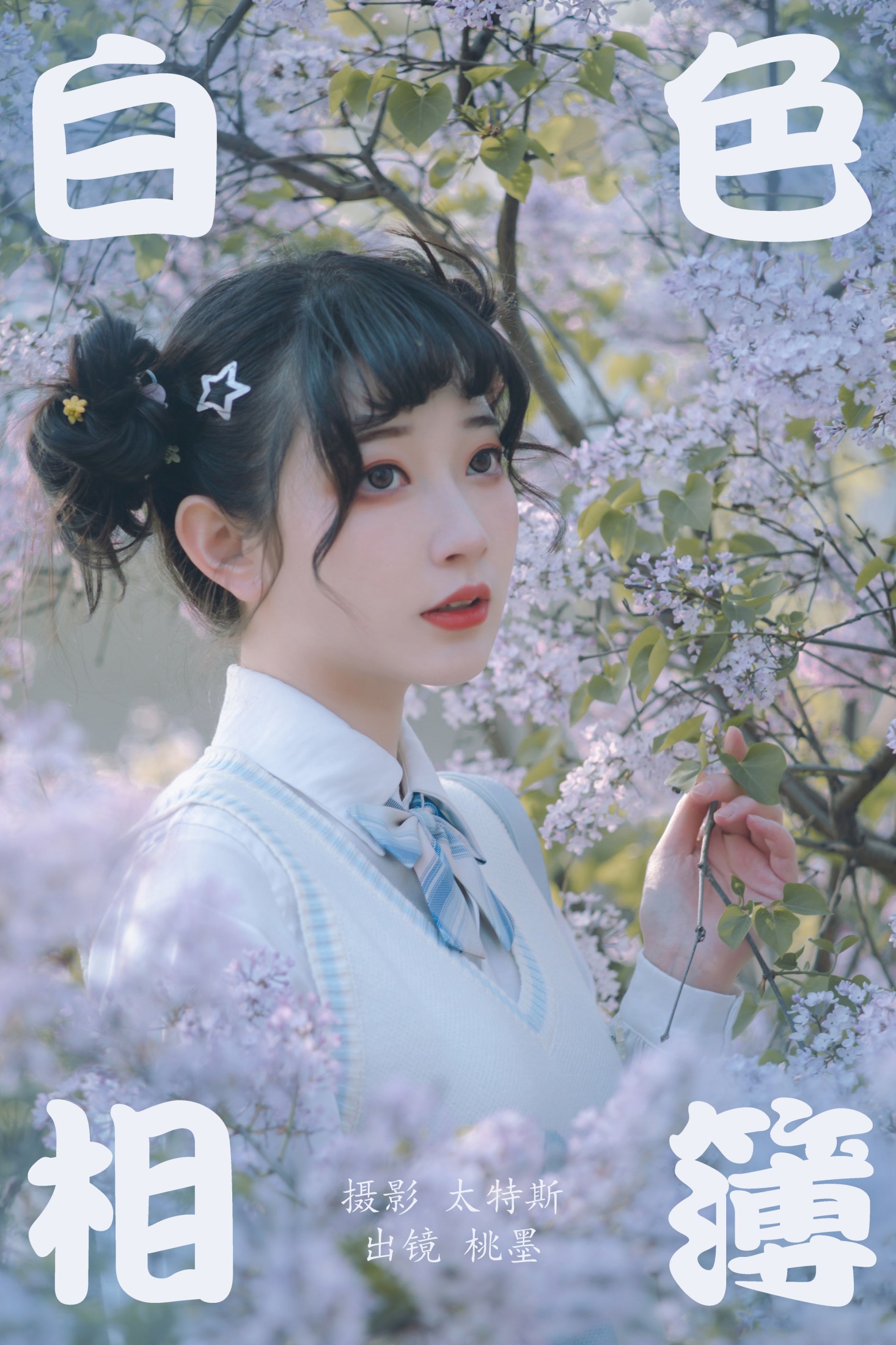 白色相簿