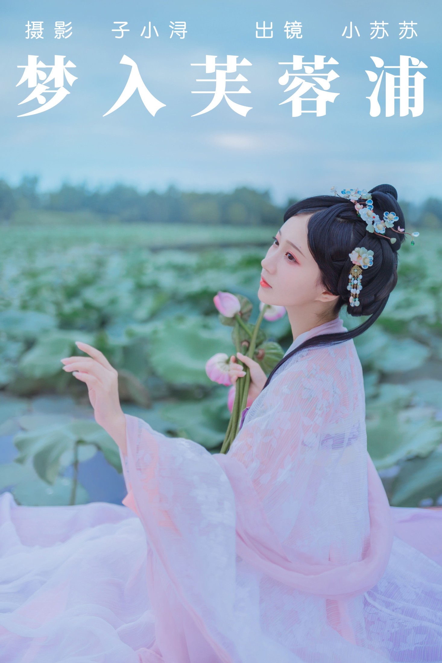 梦入芙蓉浦