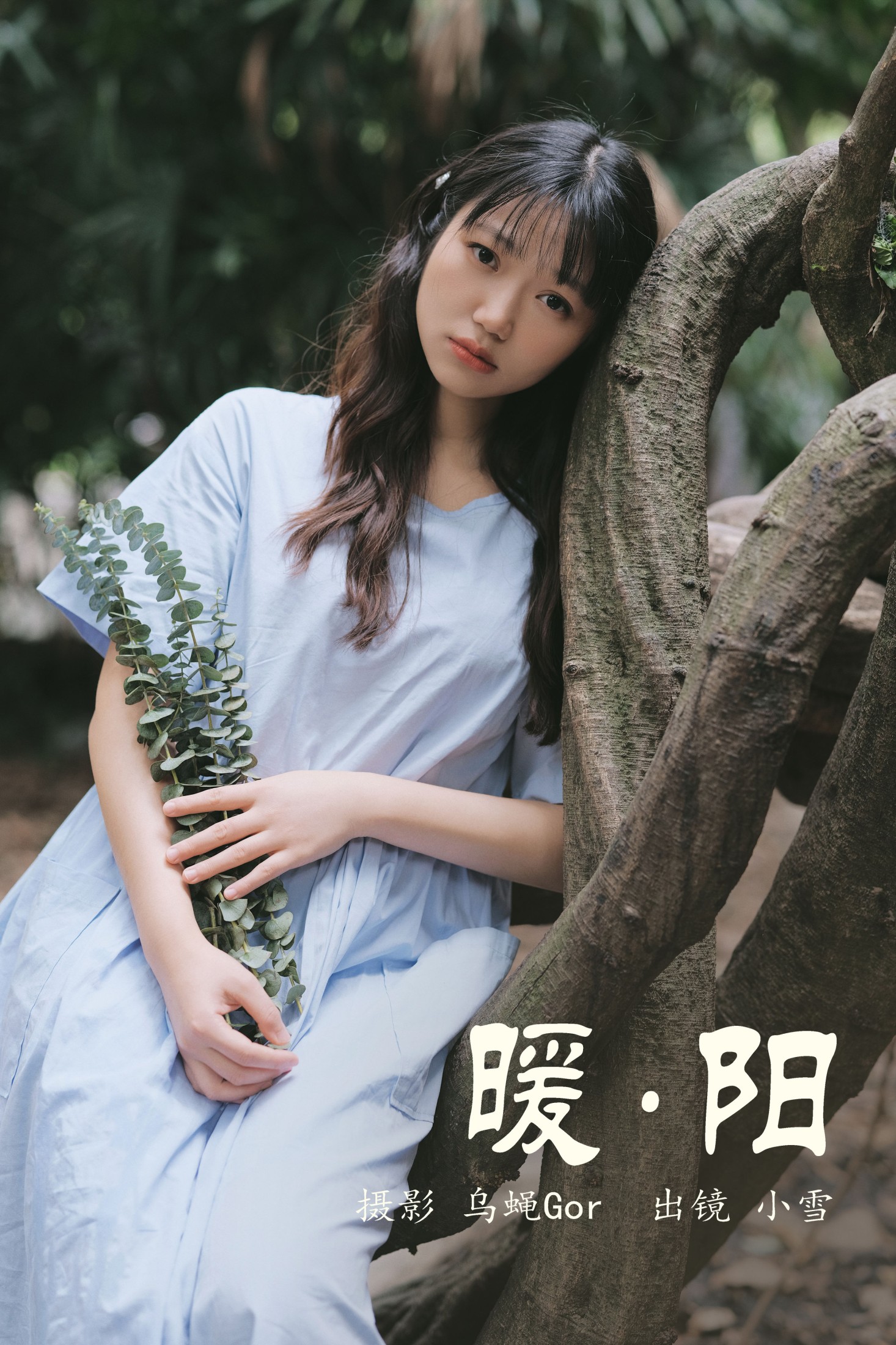 暖阳