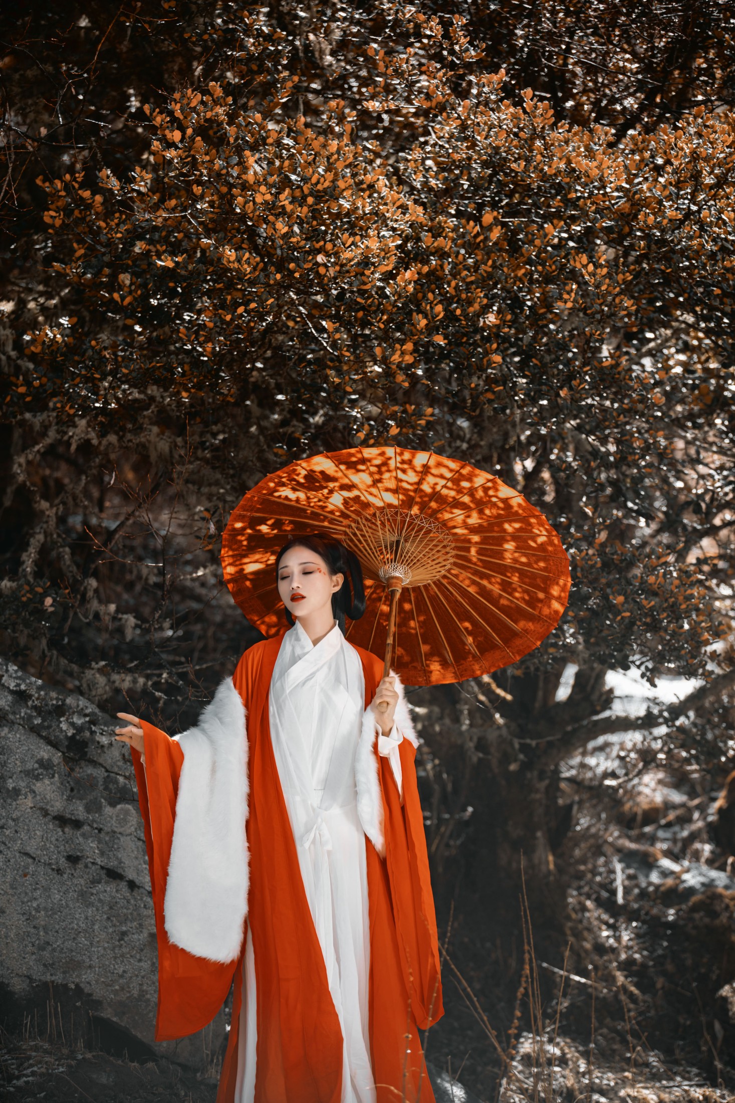 薇薇 – 《山林》[27P]