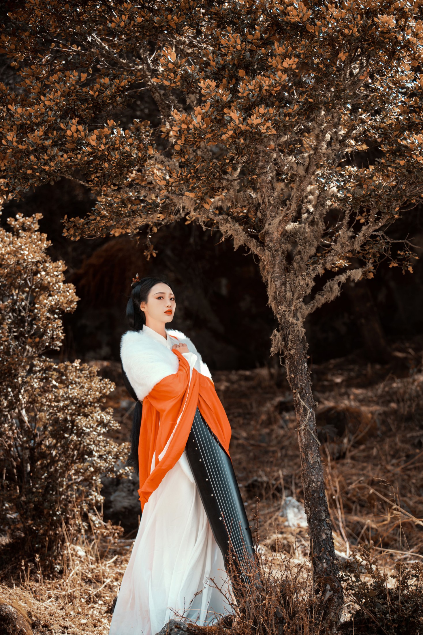 薇薇 – 《山林》[27P]