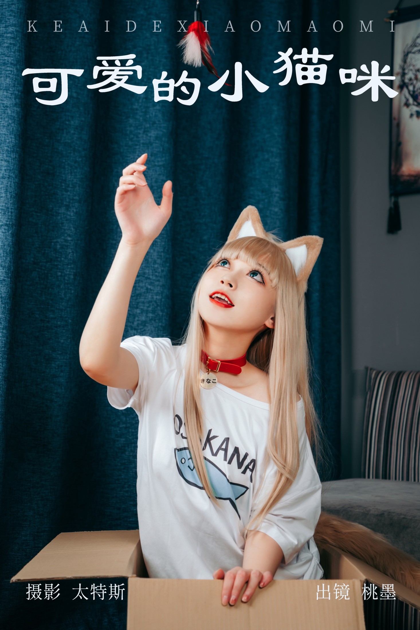 可爱的小猫咪