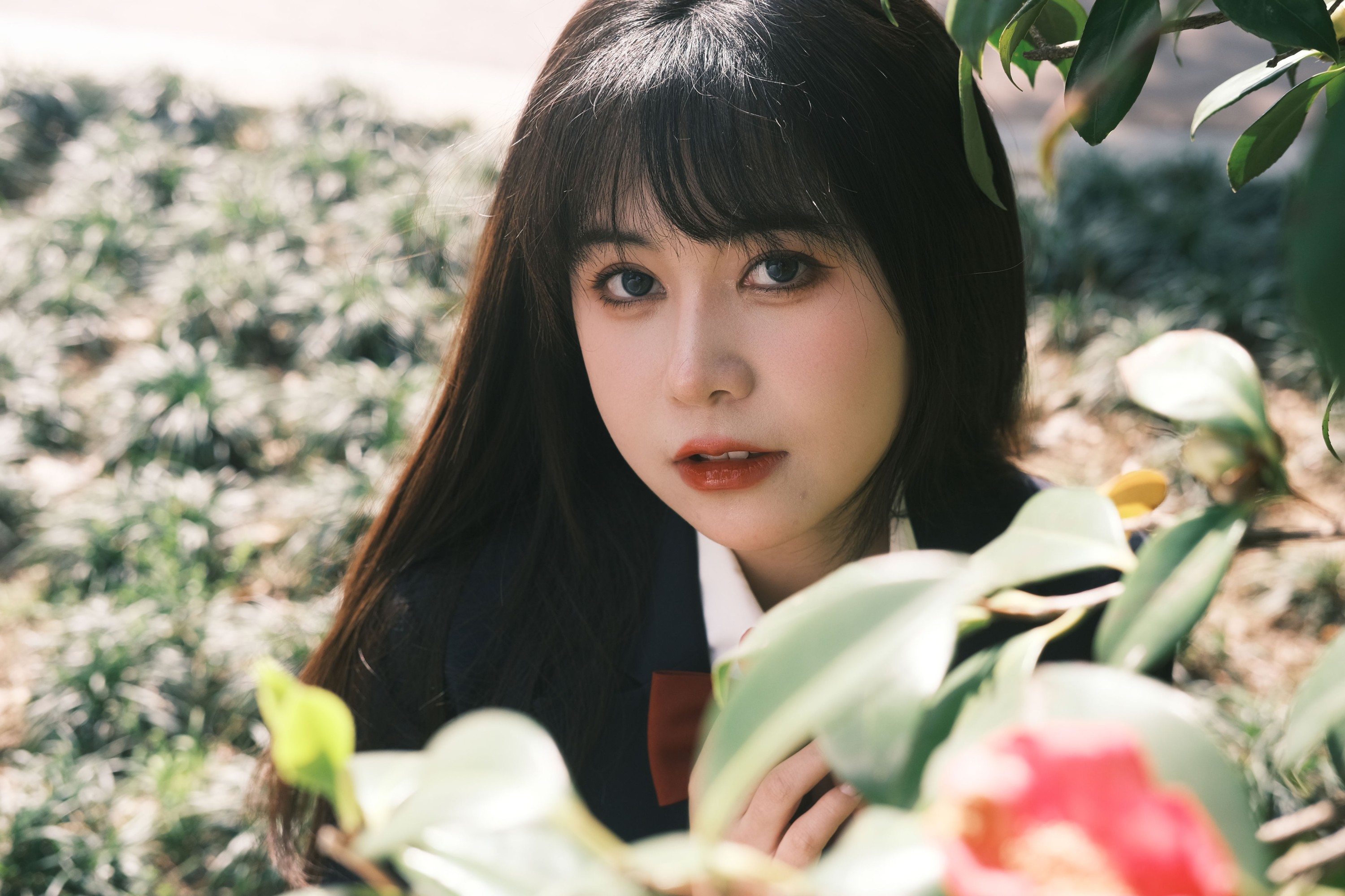 鹤鸣之应- – 《camelia》[31P]