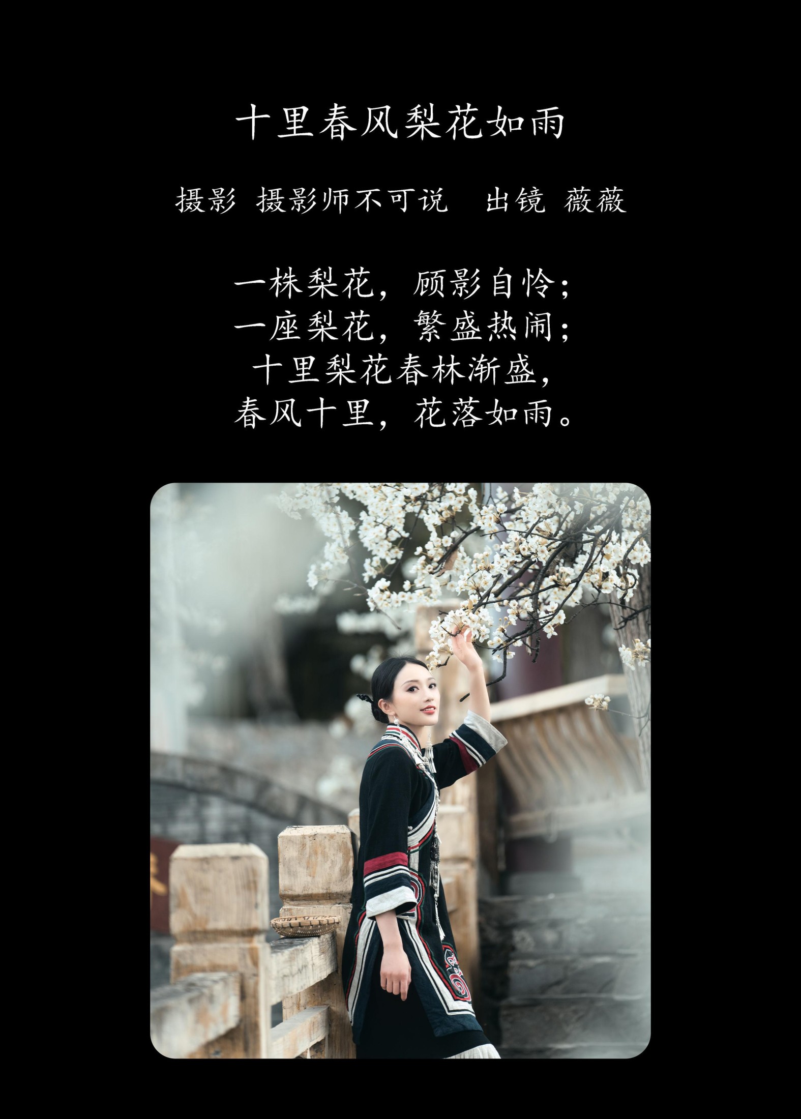 薇薇 – 《十里春风梨花如雨》[50P]