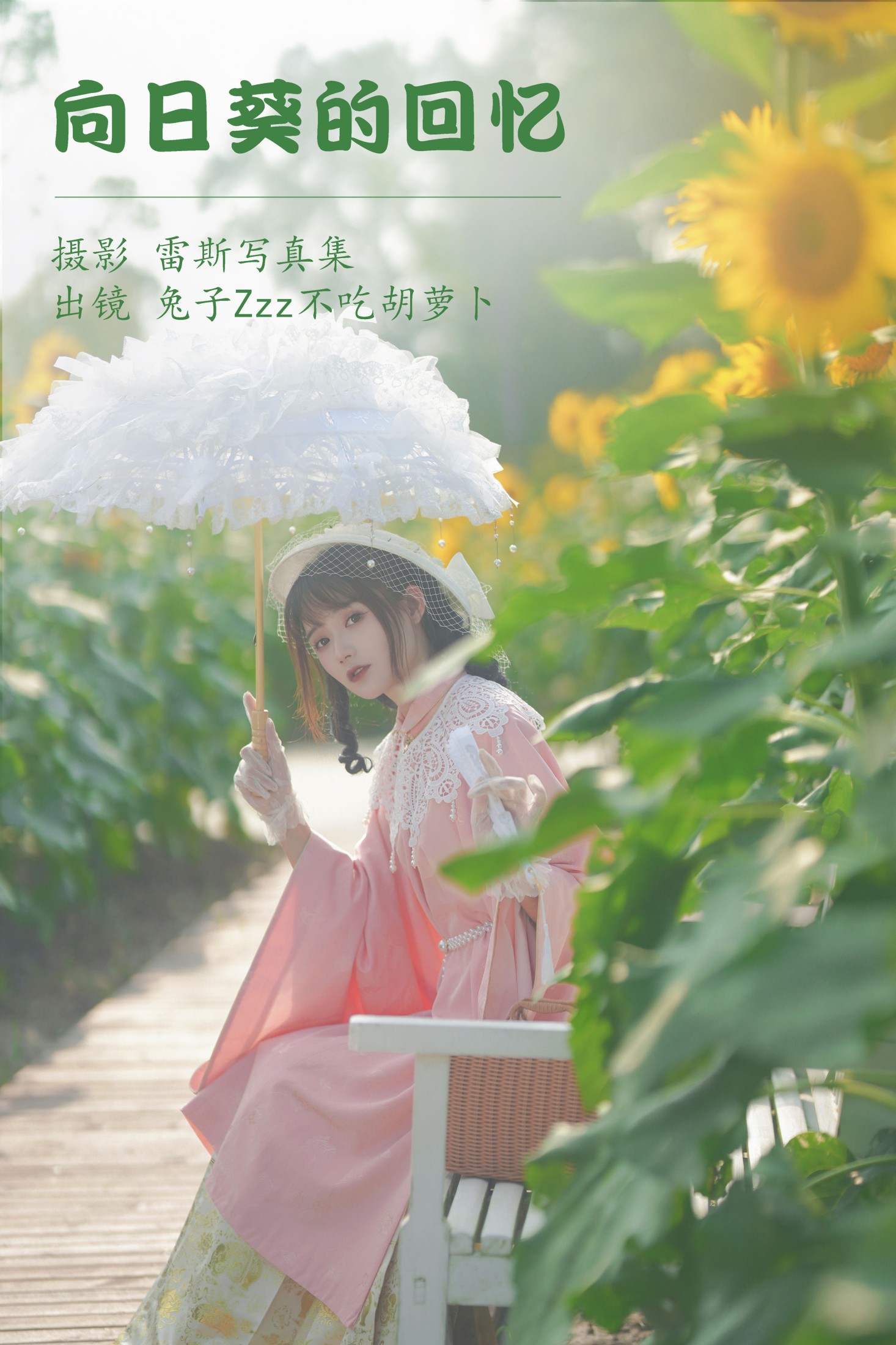 向日葵的回忆