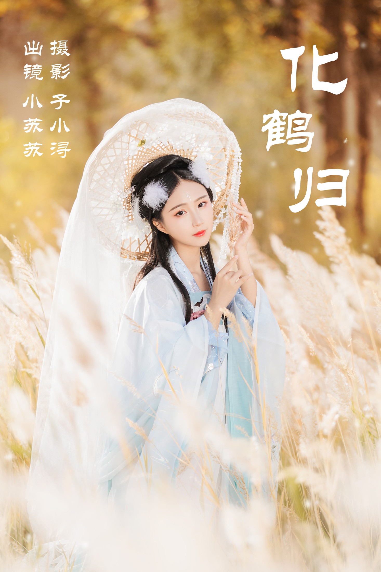 化鹤归
