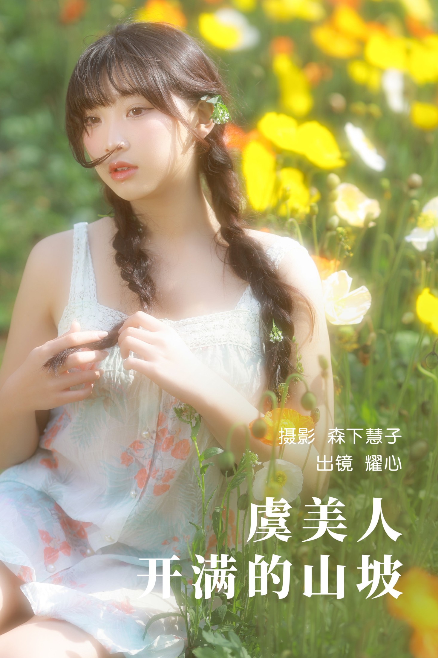 虞美人开满的山坡