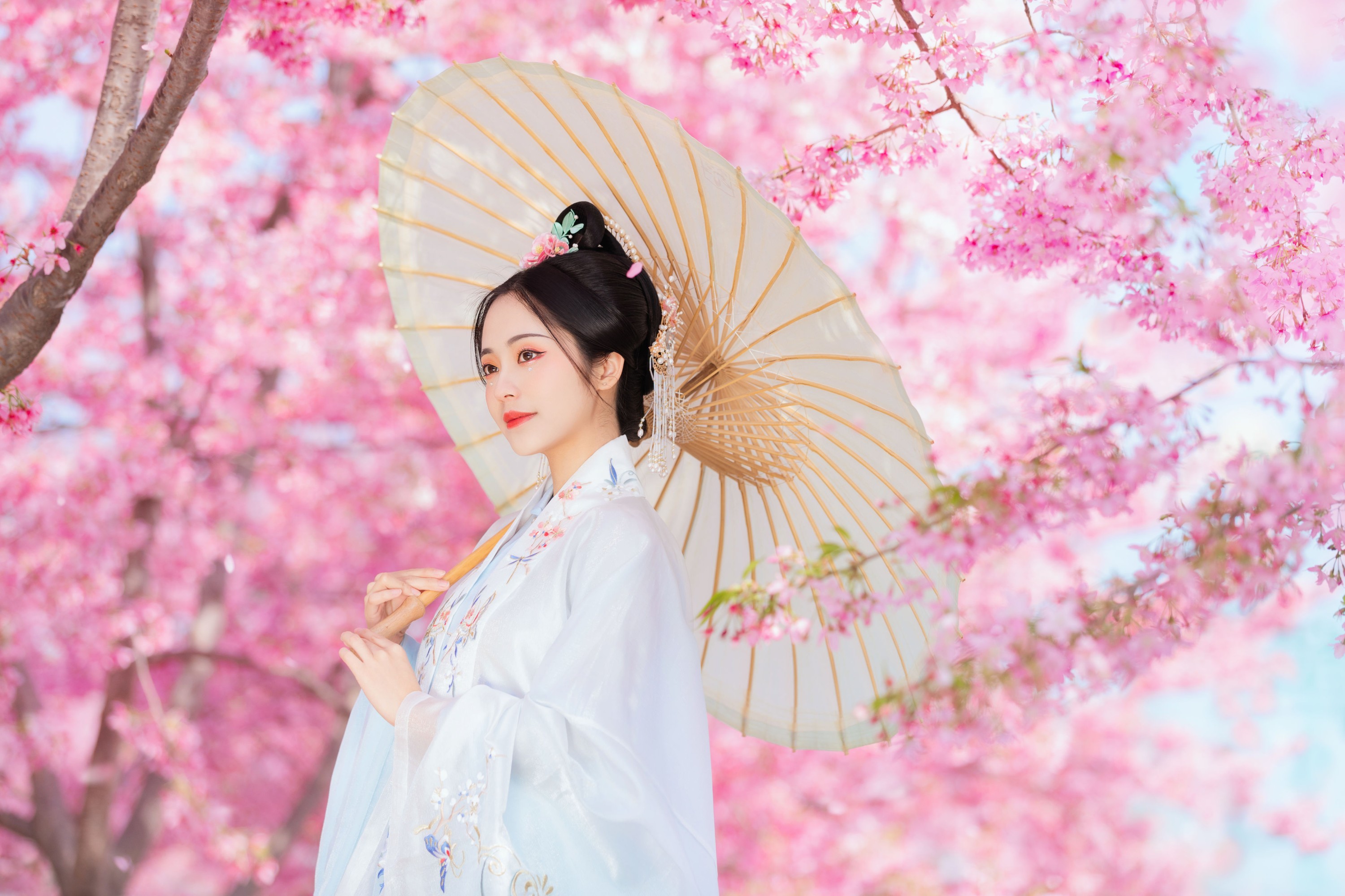是雨诗呀 – 《春樱》[24P]