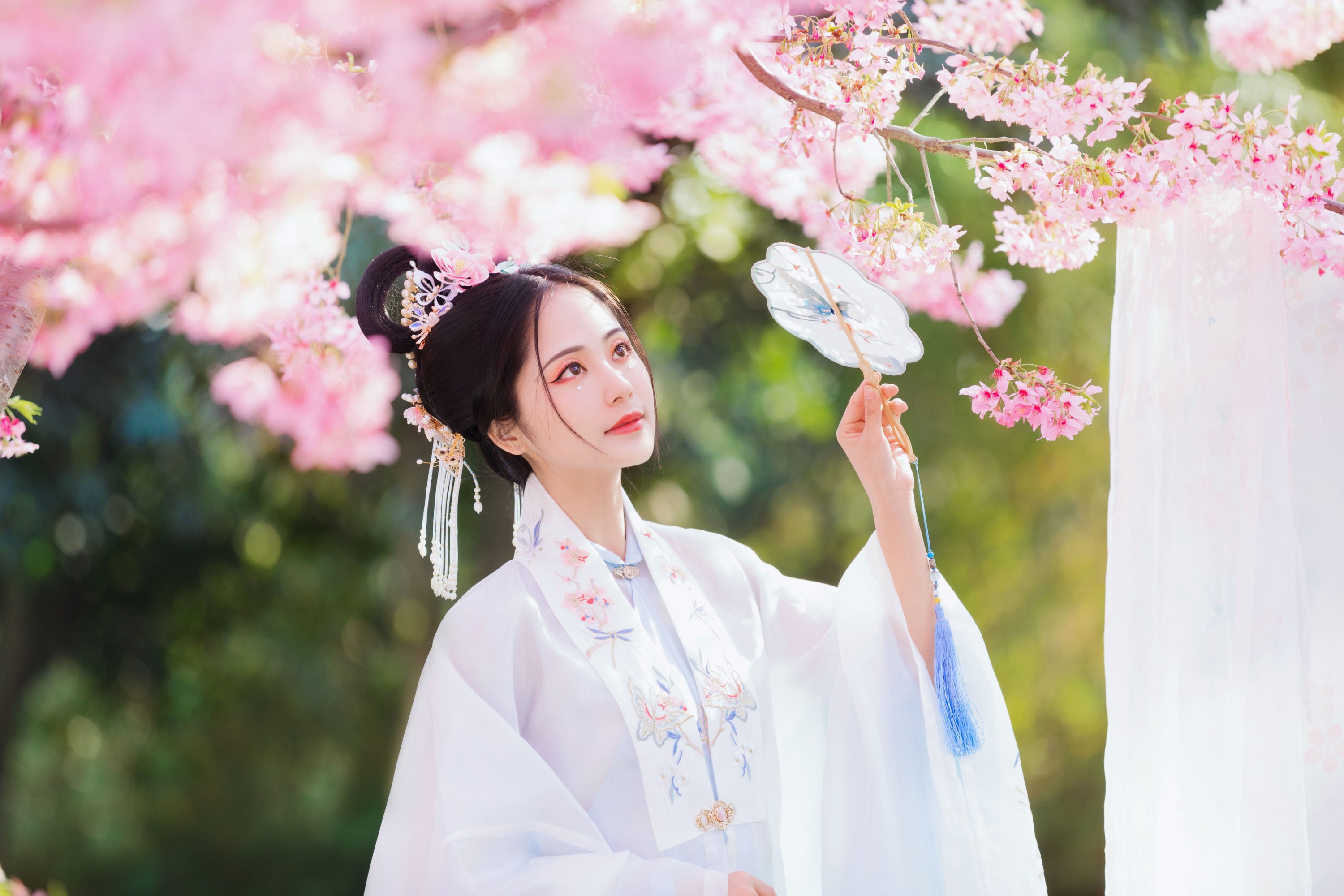 是雨诗呀 – 《春樱》[24P]