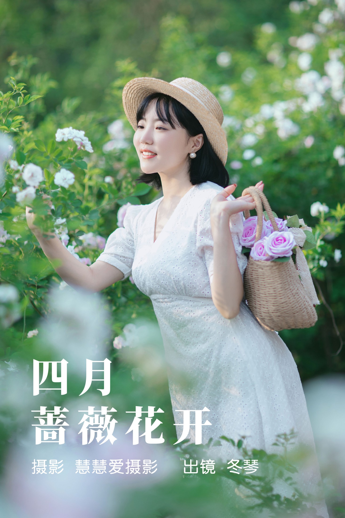 四月蔷薇花开
