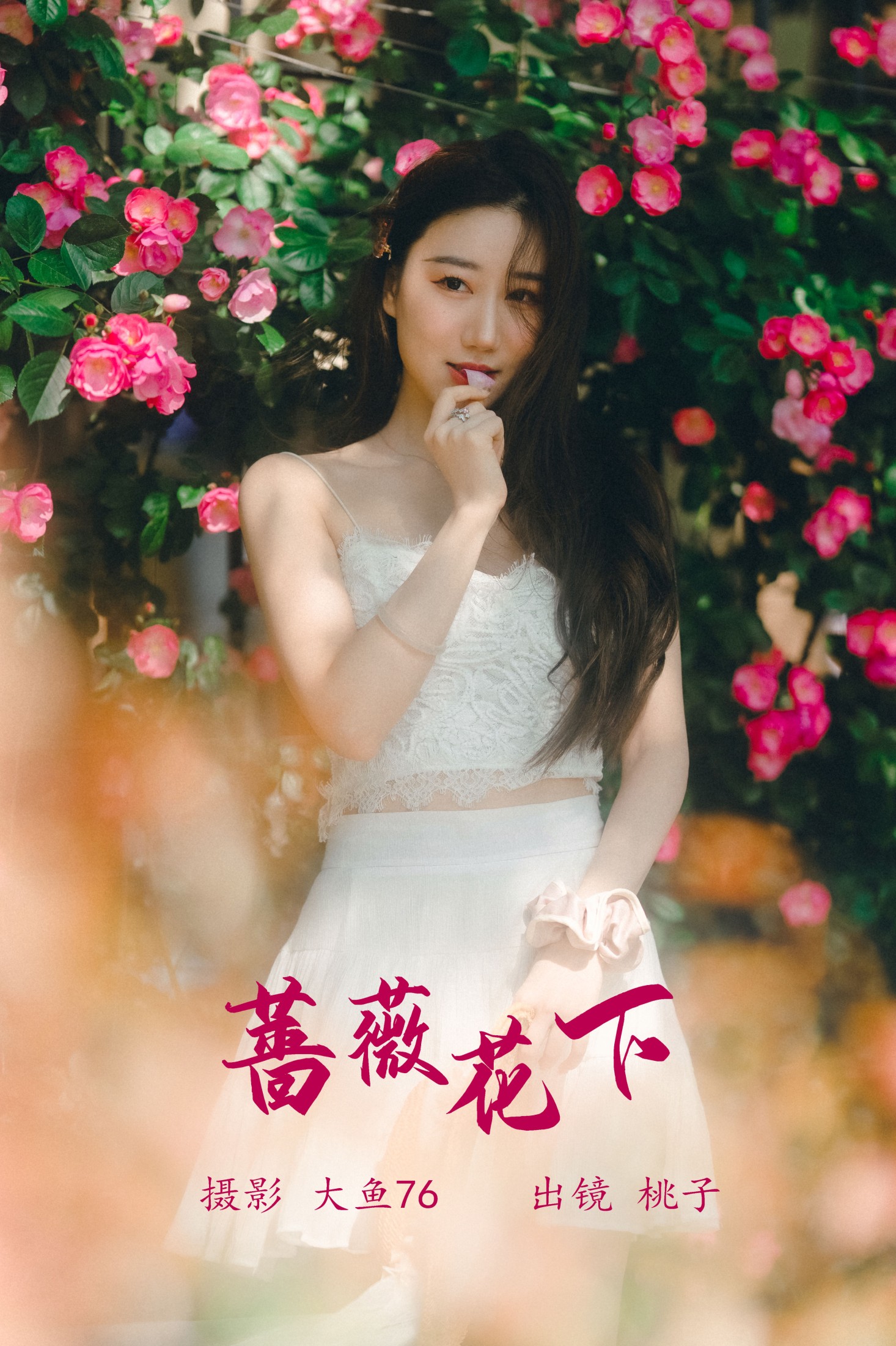 蔷薇花下