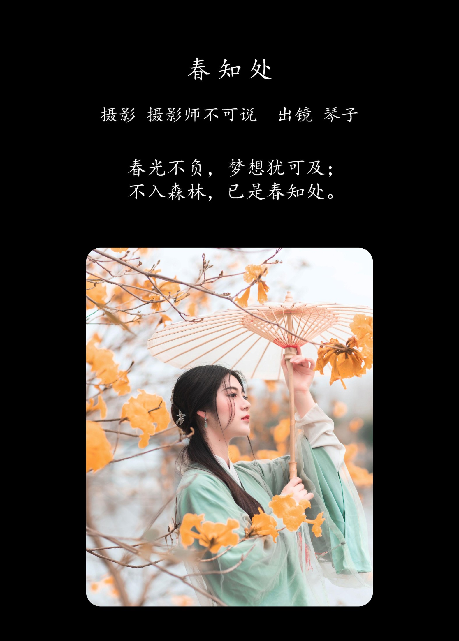 琴子 – 《春知处》[32P]