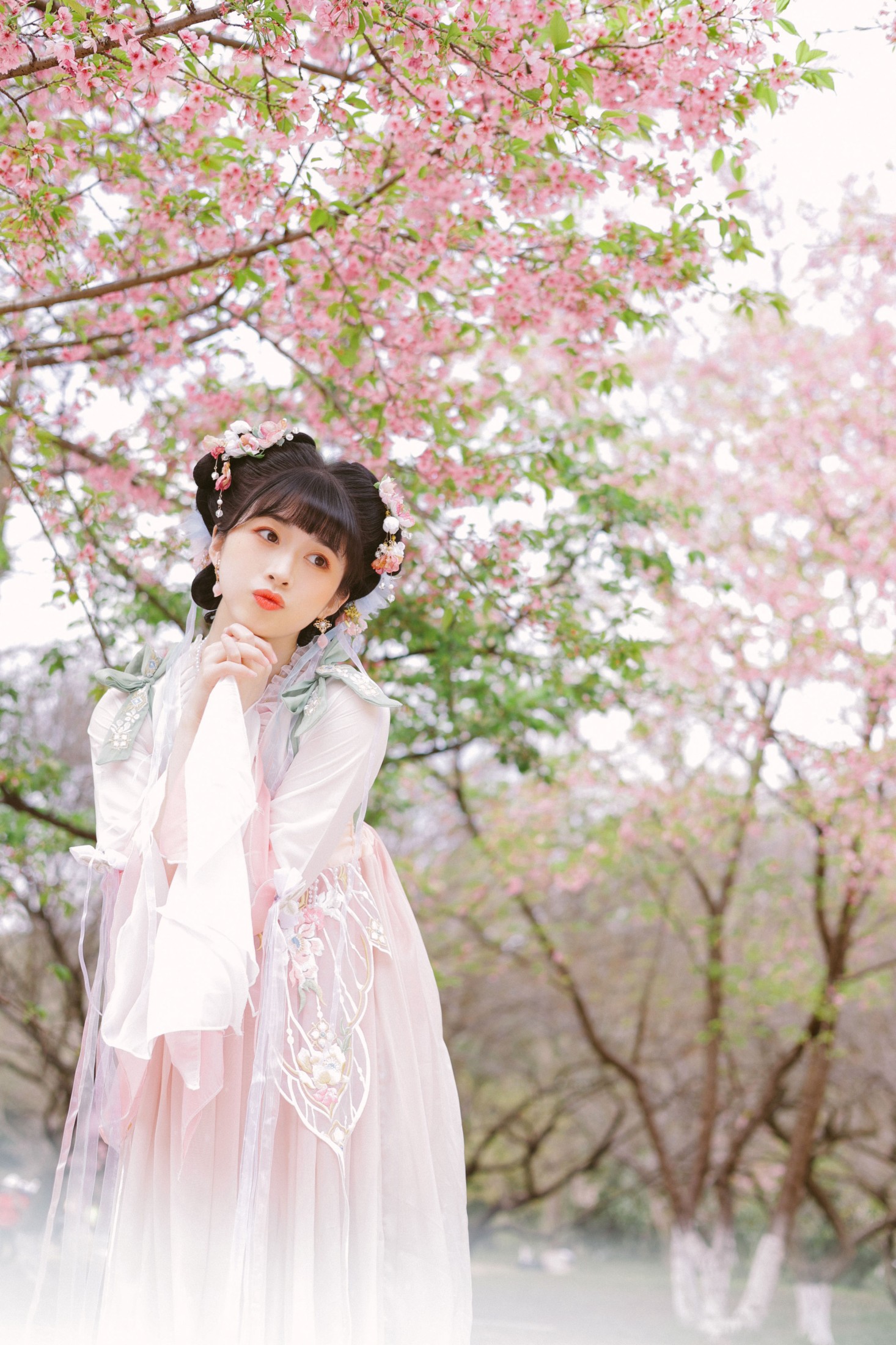 breezyzm – 《少女与樱花》[26P]