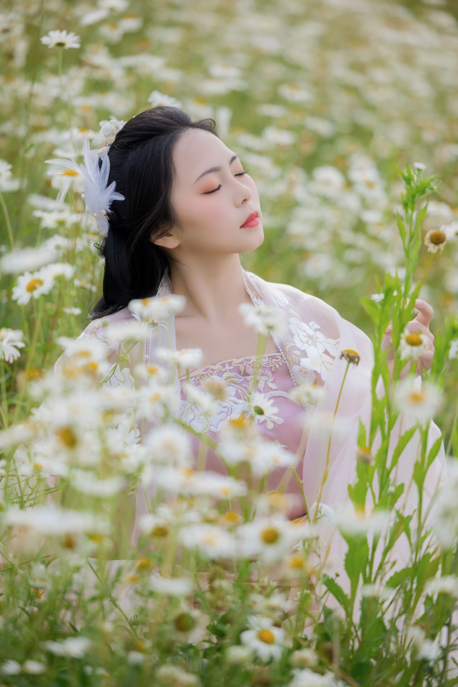 阡墨红尘 – 《雏菊花海》[23P]