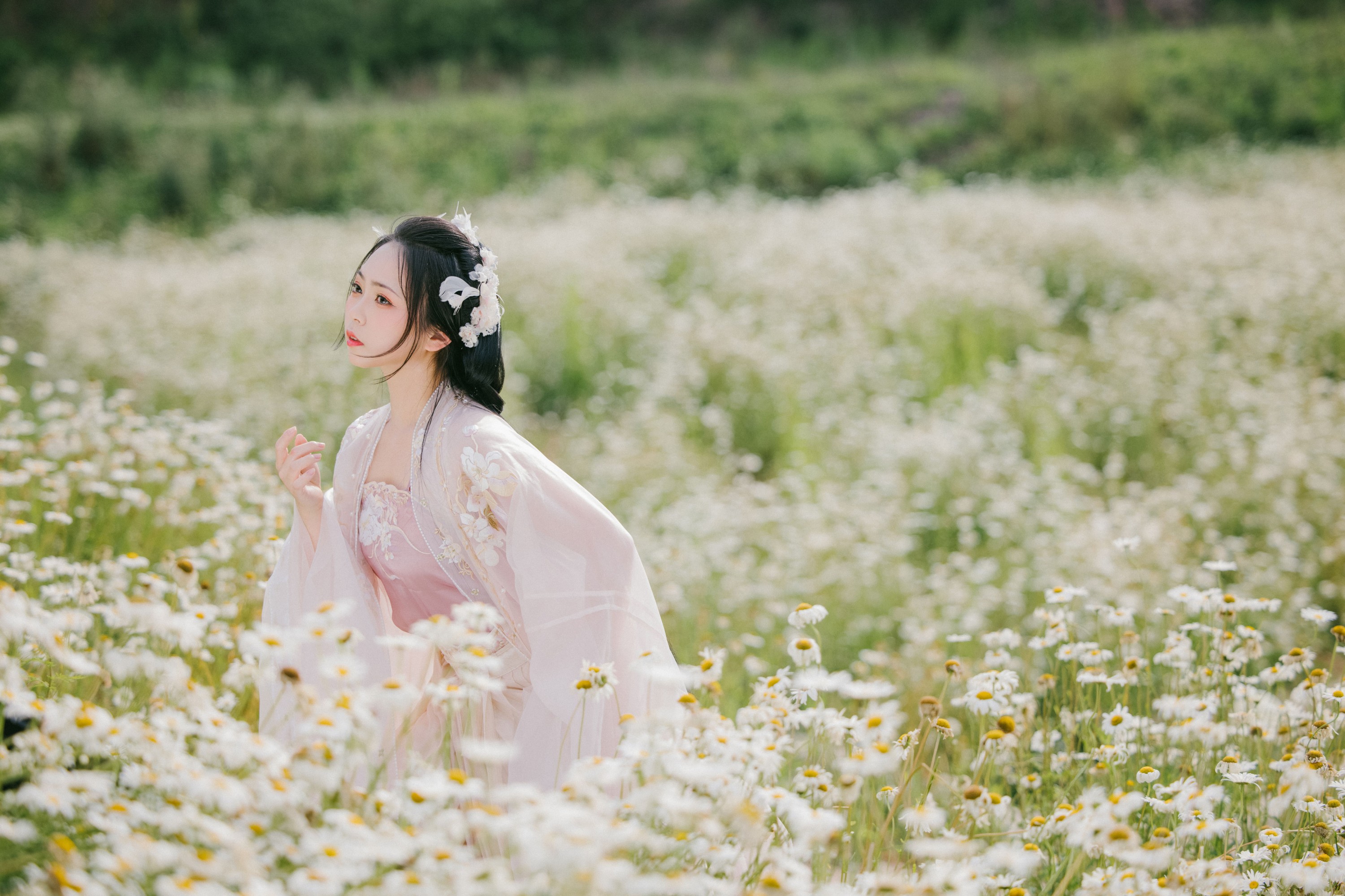 阡墨红尘 – 《雏菊花海》[23P]