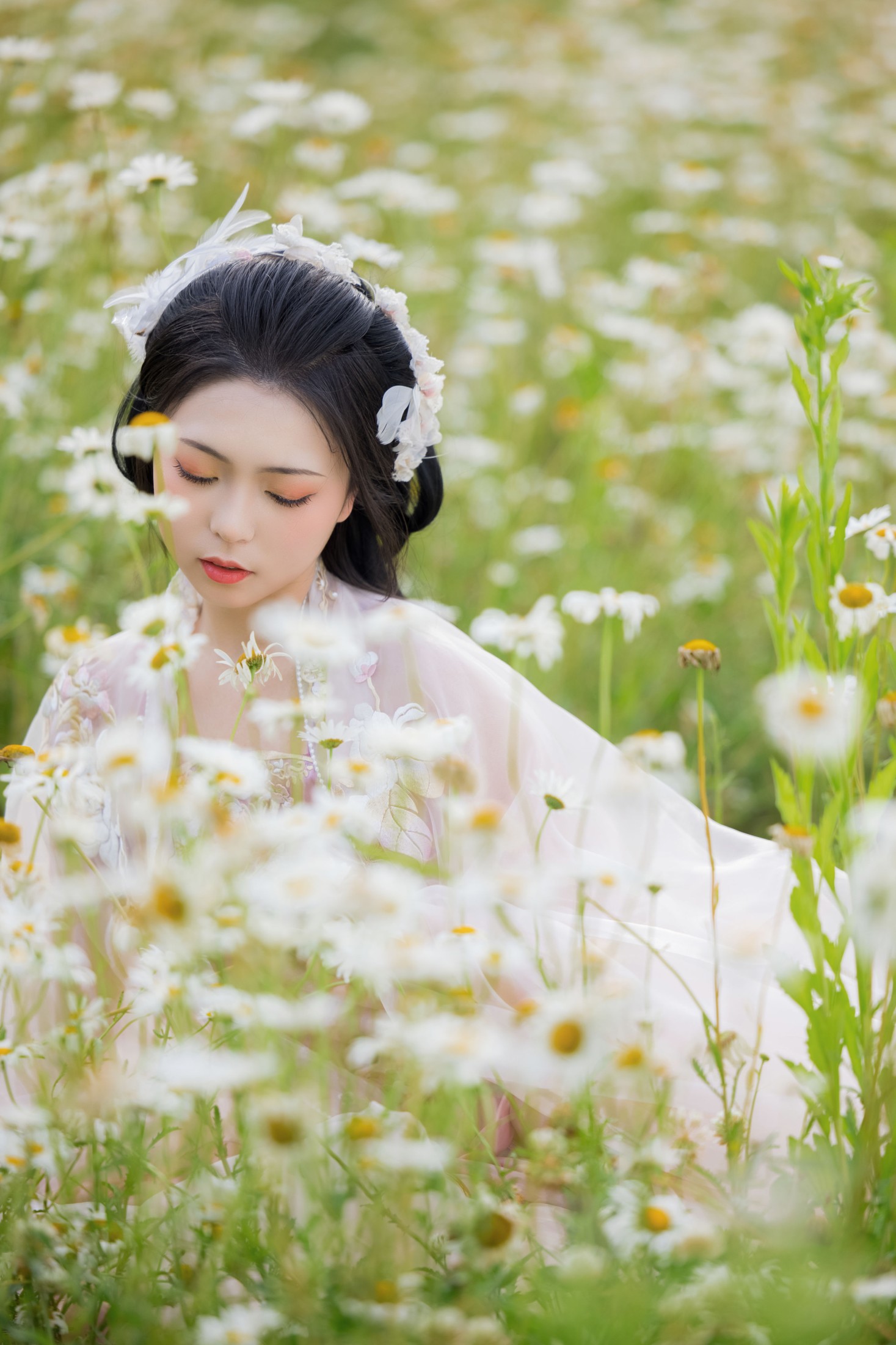 阡墨红尘 – 《雏菊花海》[23P]