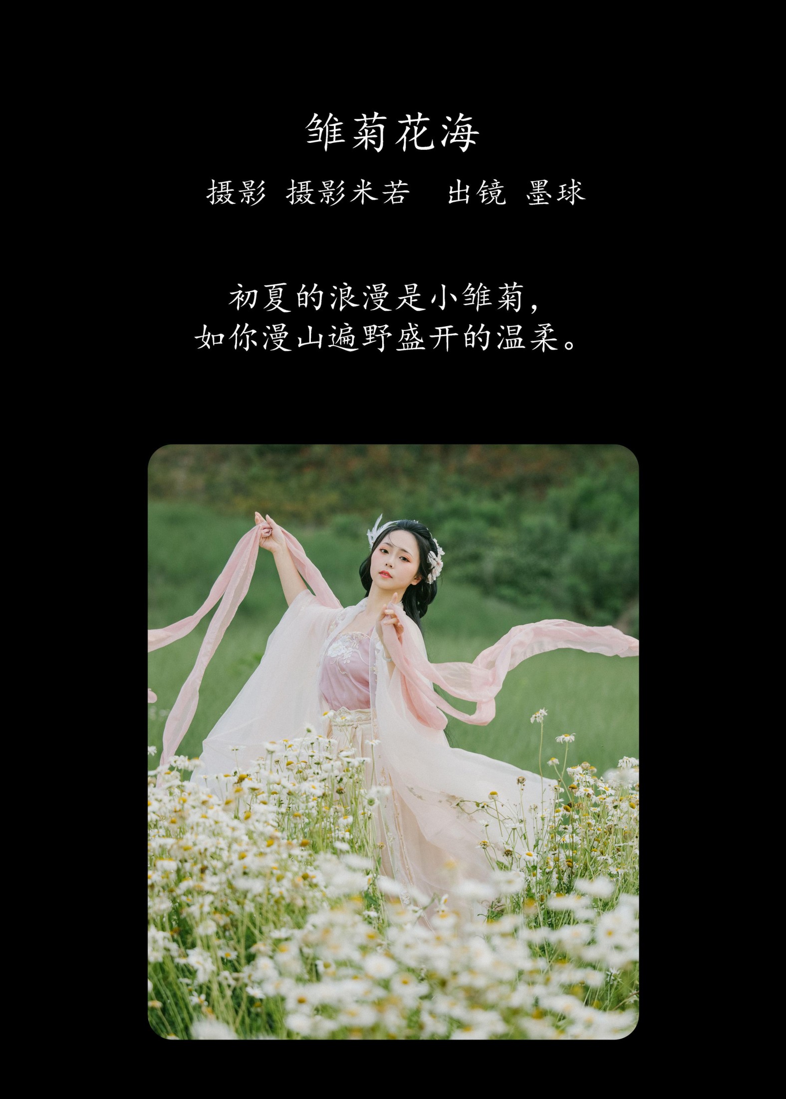 阡墨红尘 – 《雏菊花海》[23P]