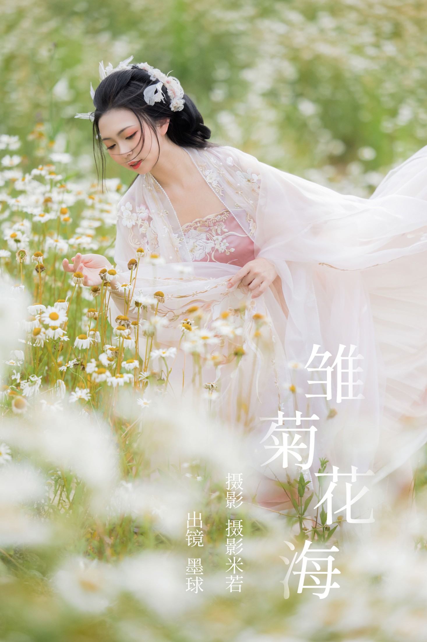 雏菊花海