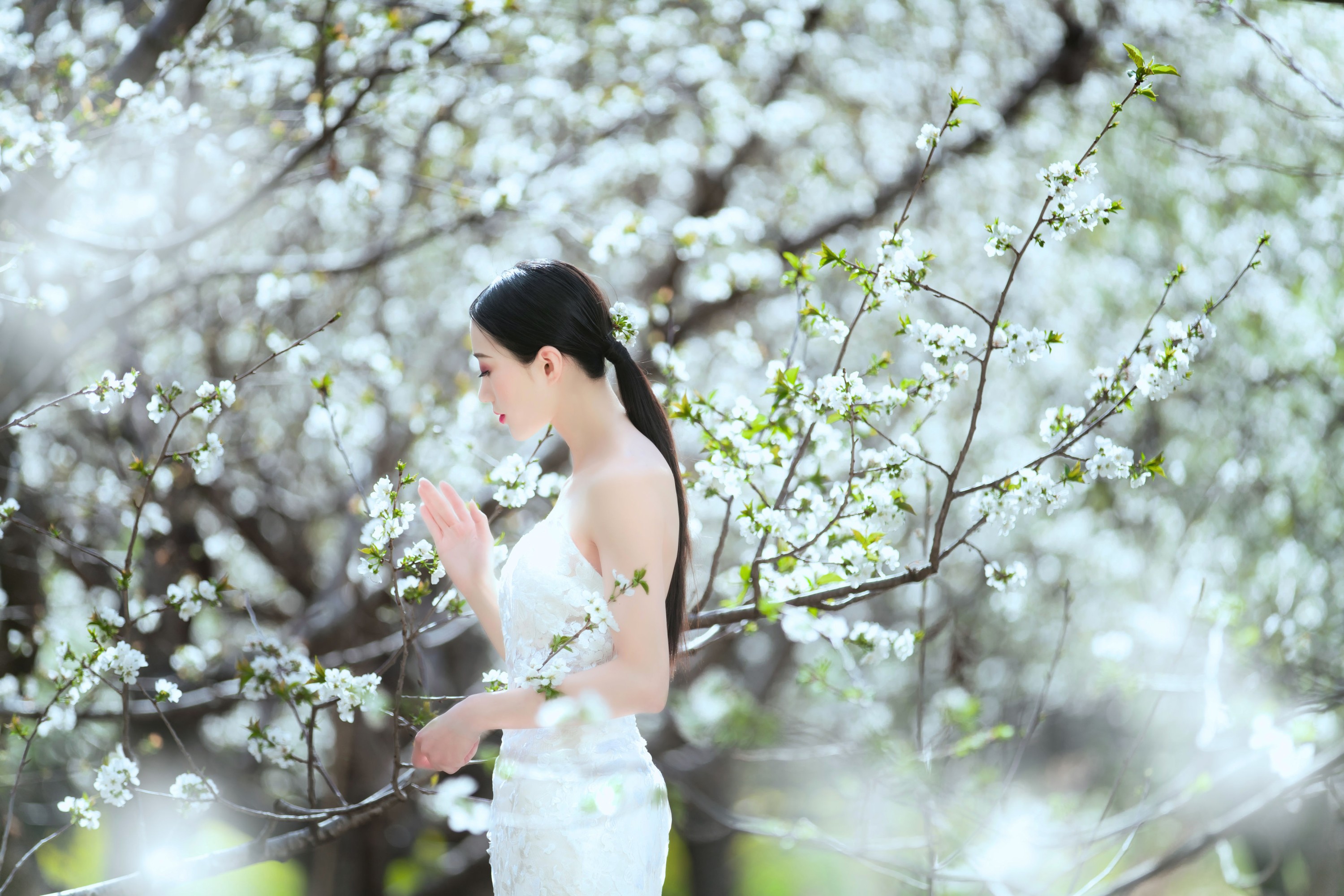 薇薇 – 《花季》[34P]