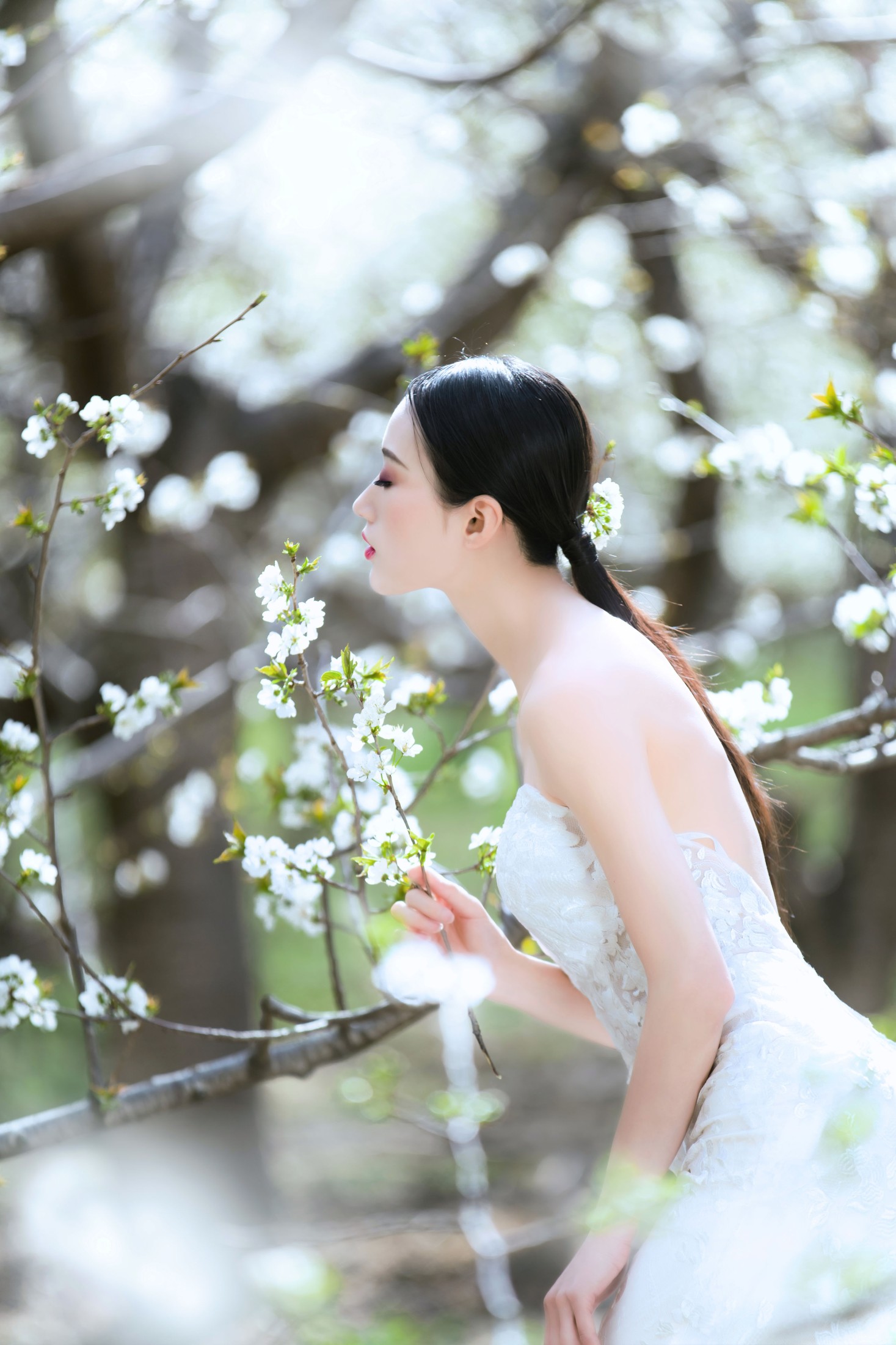 薇薇 – 《花季》[34P]