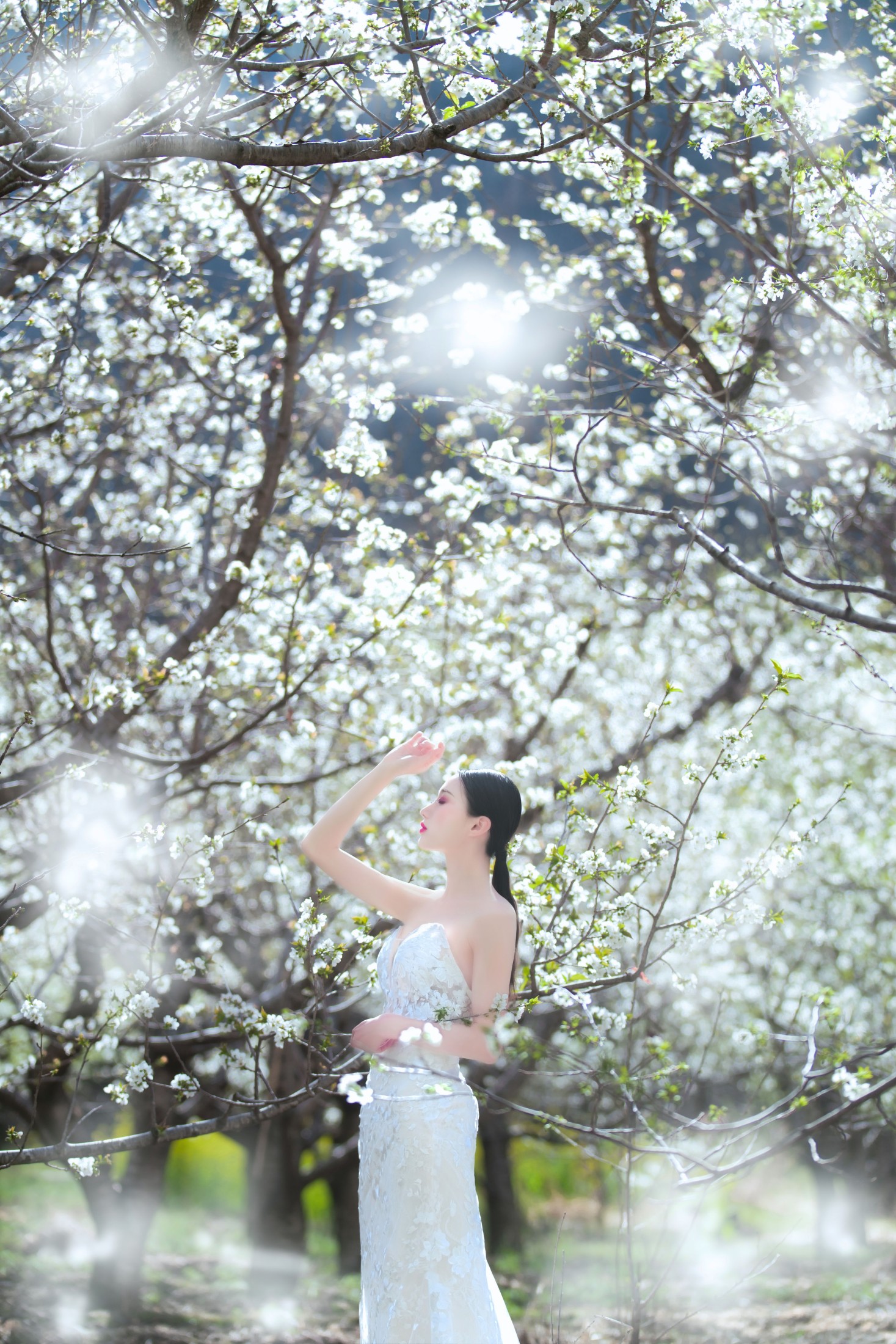 薇薇 – 《花季》[34P]