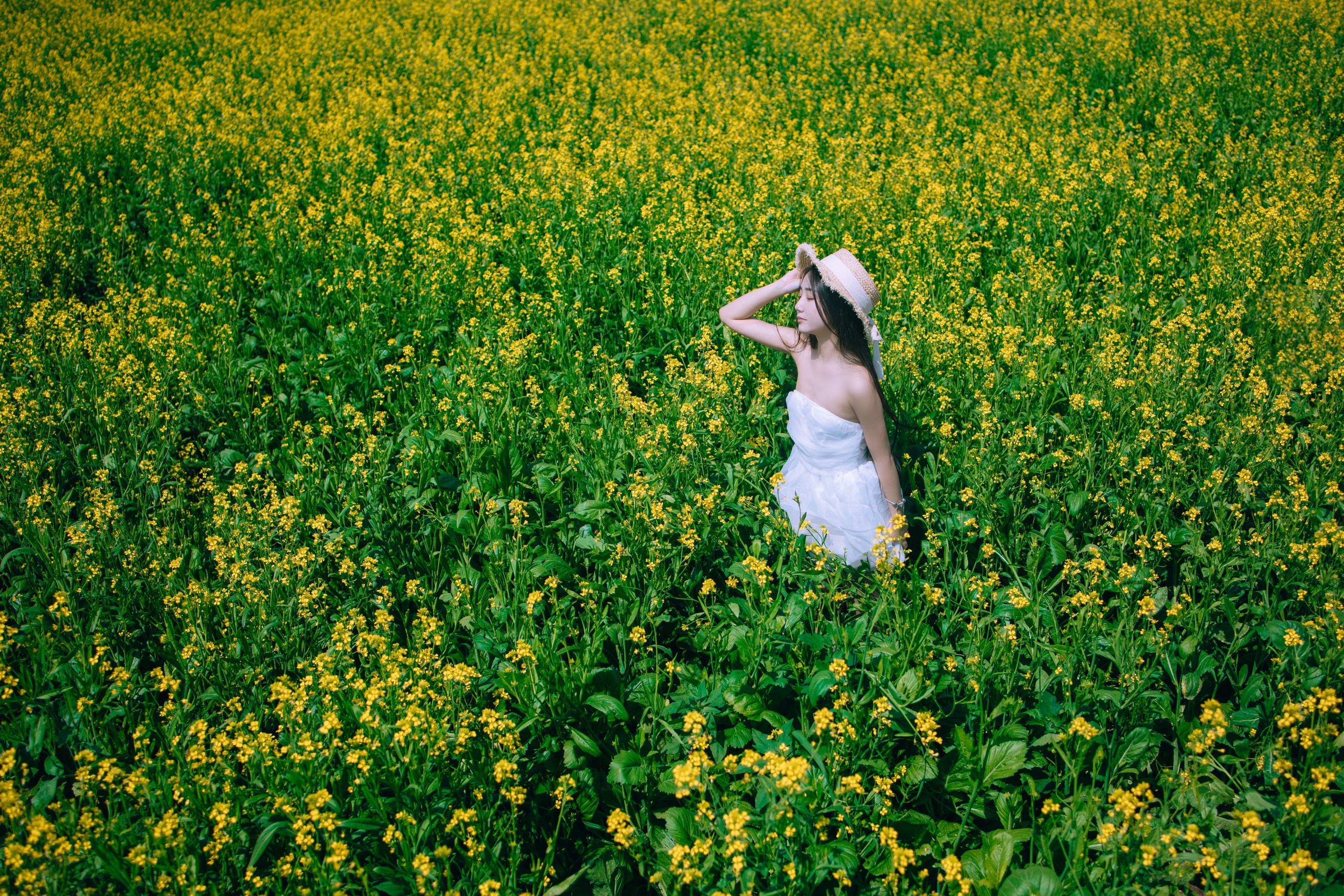 四月羊大冒险 – 《少女油菜花写真》[50P]