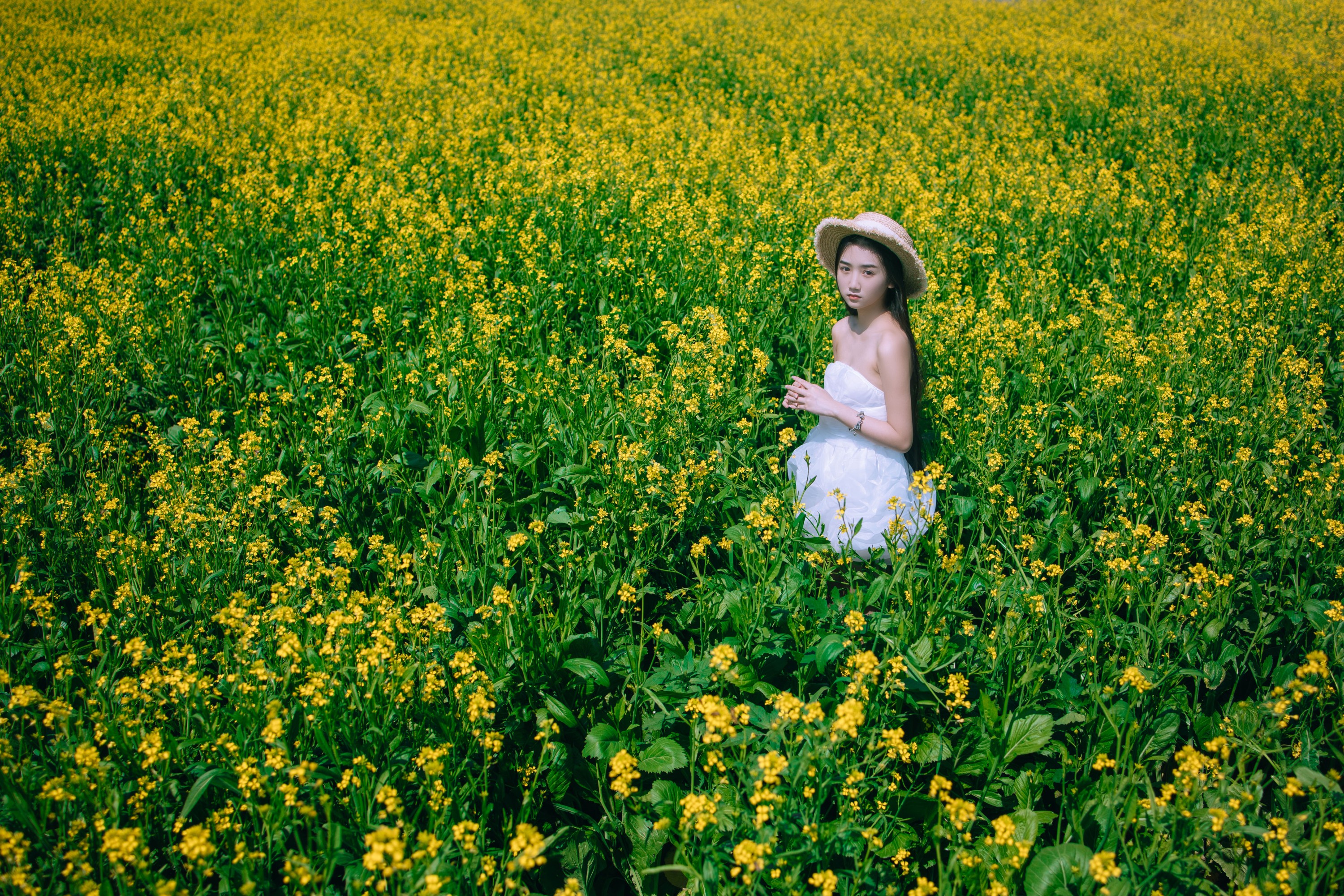 四月羊大冒险 – 《少女油菜花写真》[50P]