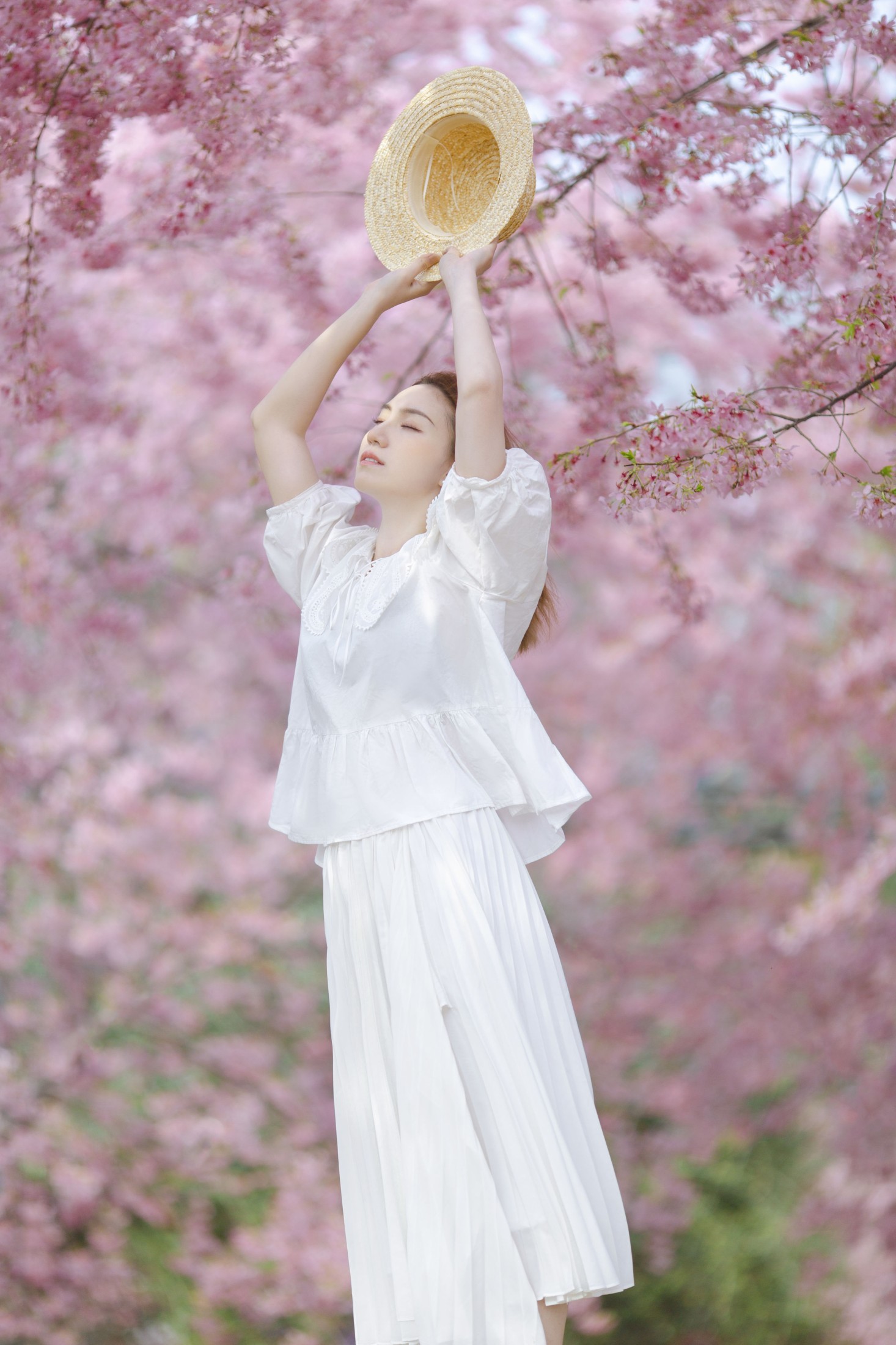 七七四十九 – 《春日樱》[20P]