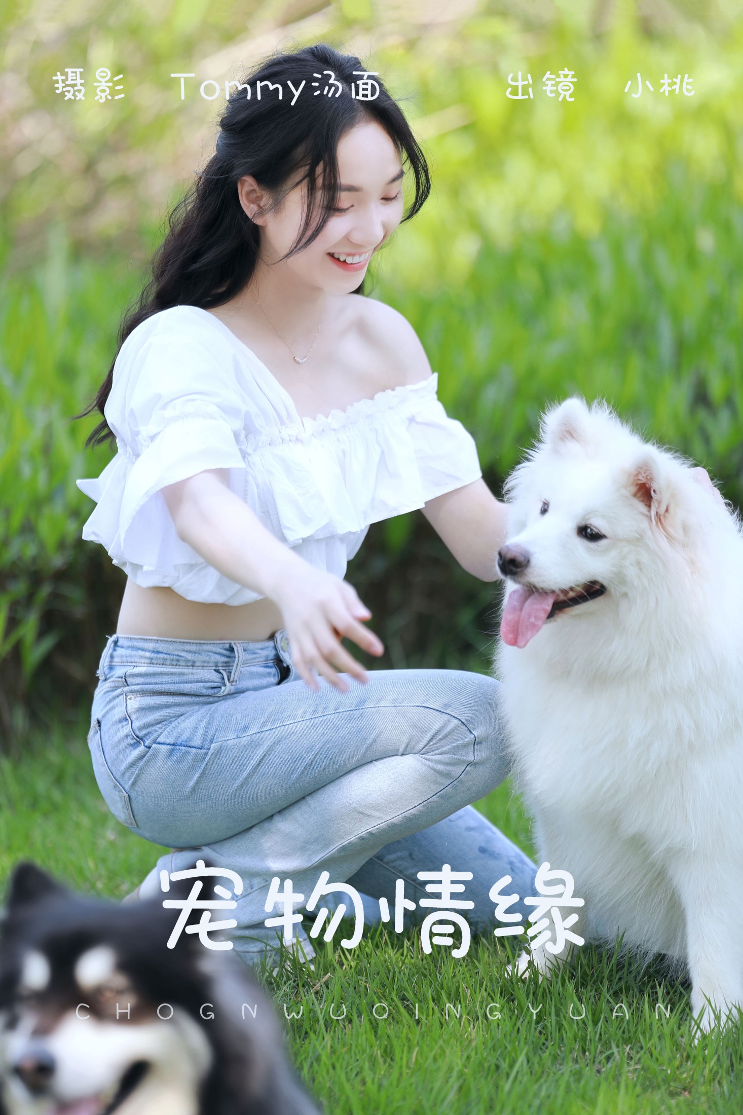 宠物情缘