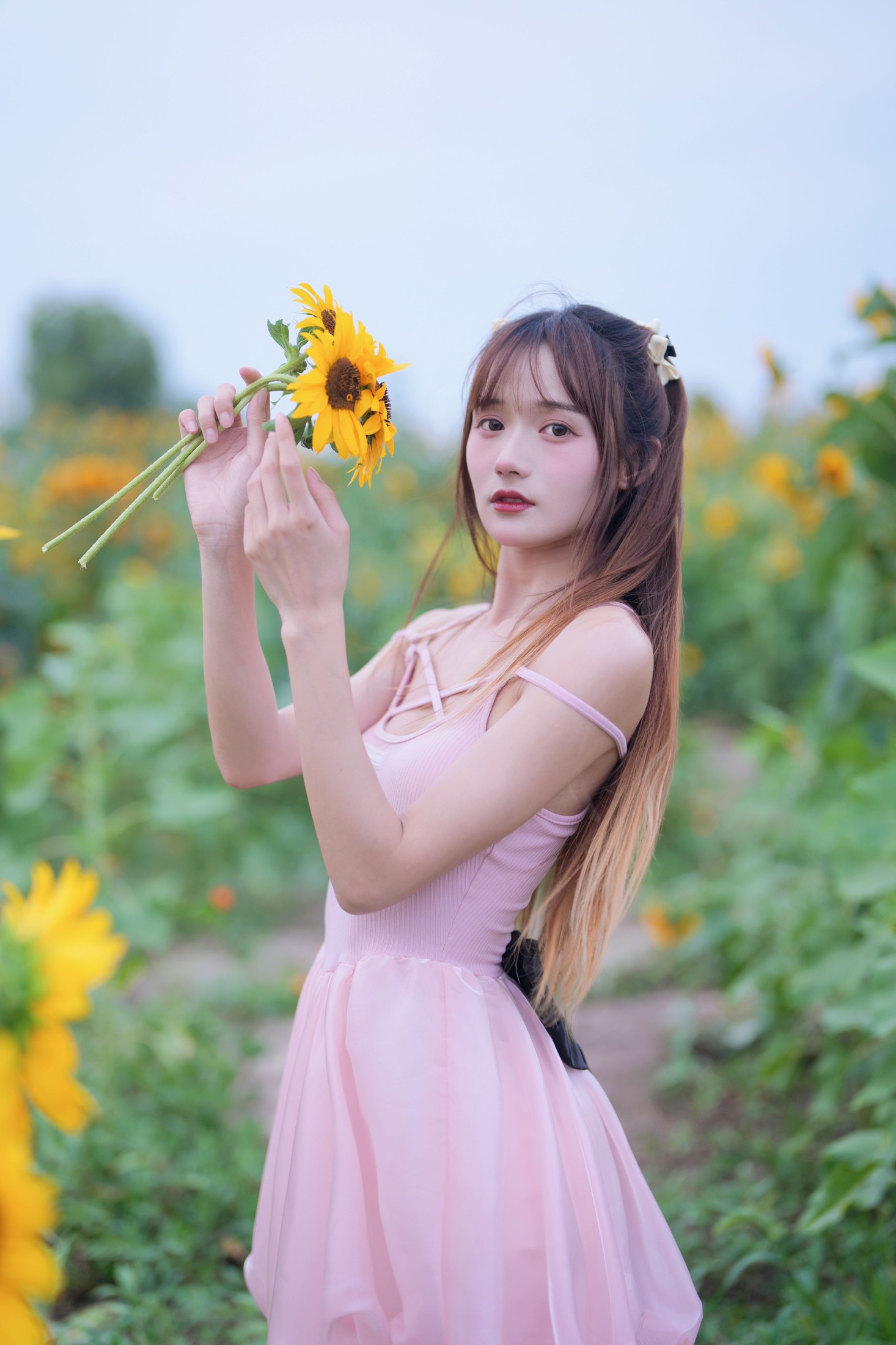 兔子Zzz不吃胡萝卜 – 《蓝调向日葵少女》[29P]