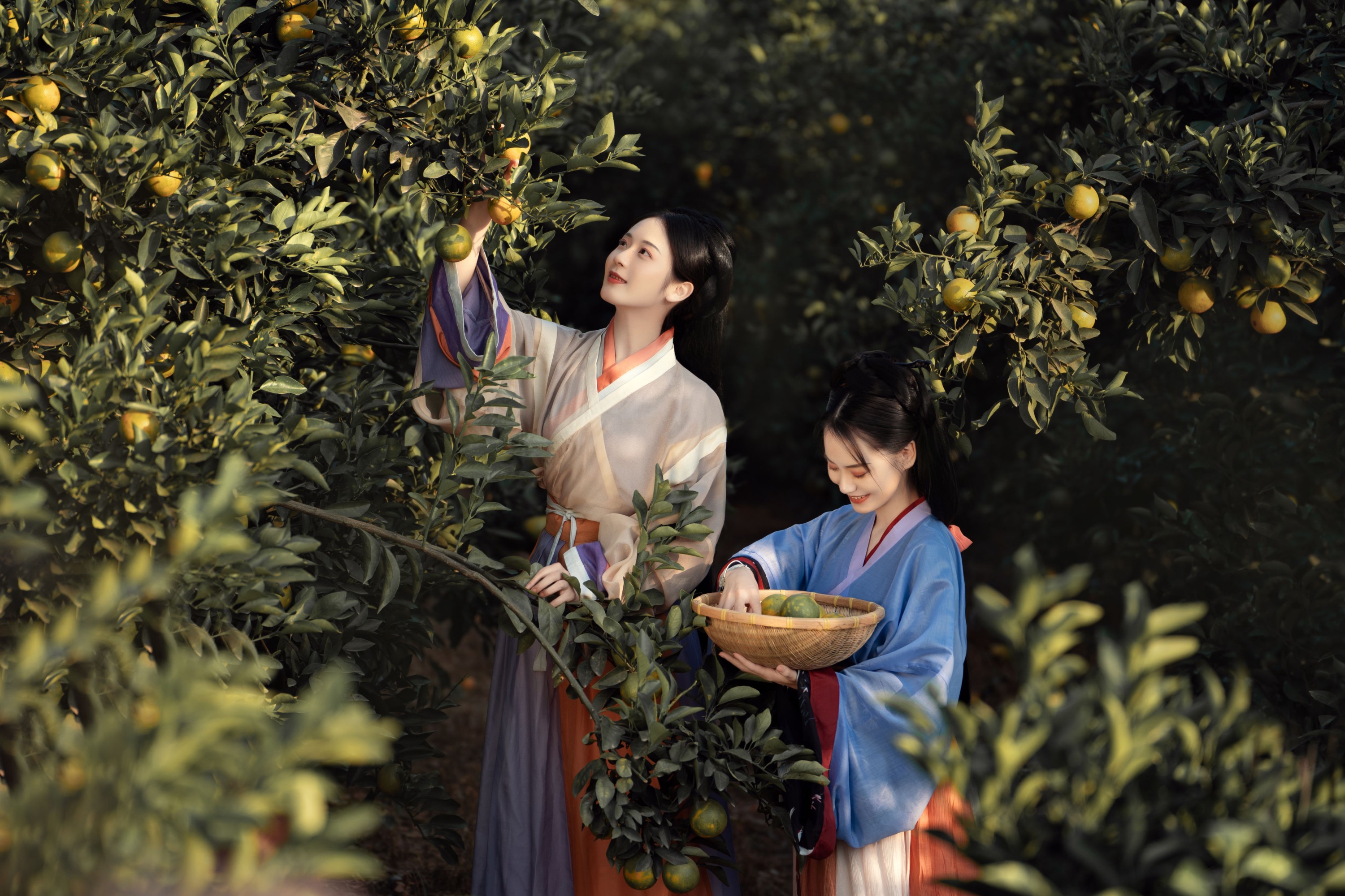 薯片yoyi – 《采橘》[22P]